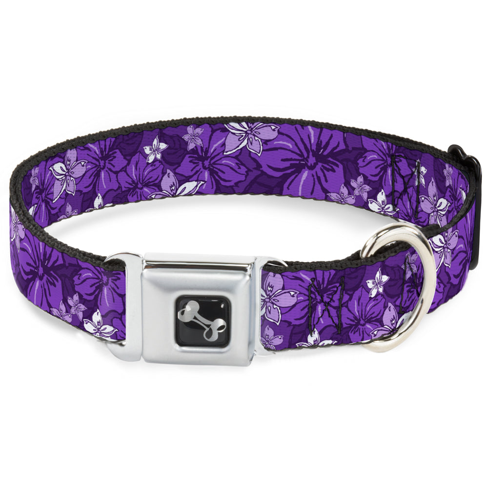 Collar Pulgas Gato Llavero Buckle Down 1.0 Expresiones De Puntadas/hibisco... | Envío Gratis Coleira Cao