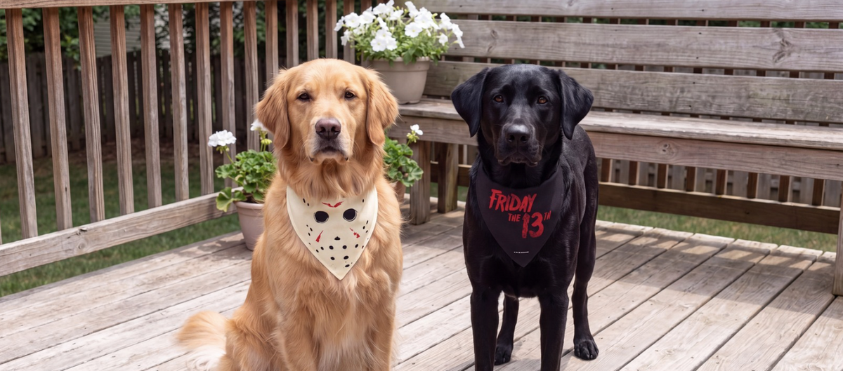 two dogs one golden retriever and one black lab outside in bandanas inspired by the movie friday the 13th by the brand 'buckle-down'