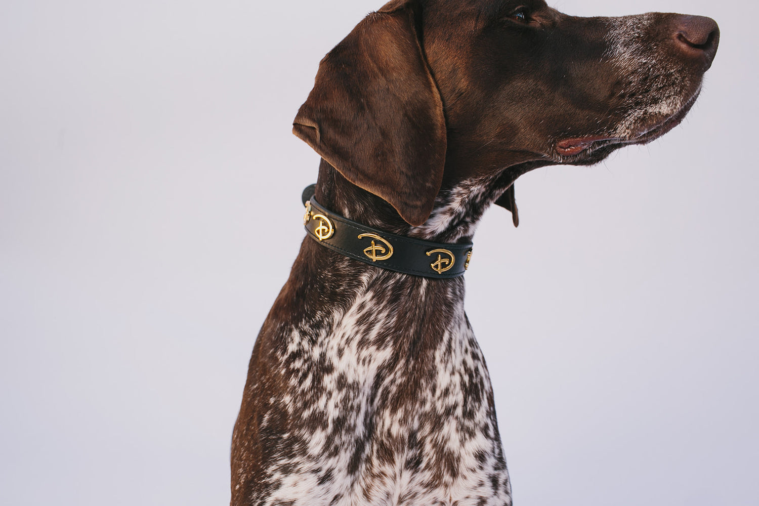 New March 28th Releases!