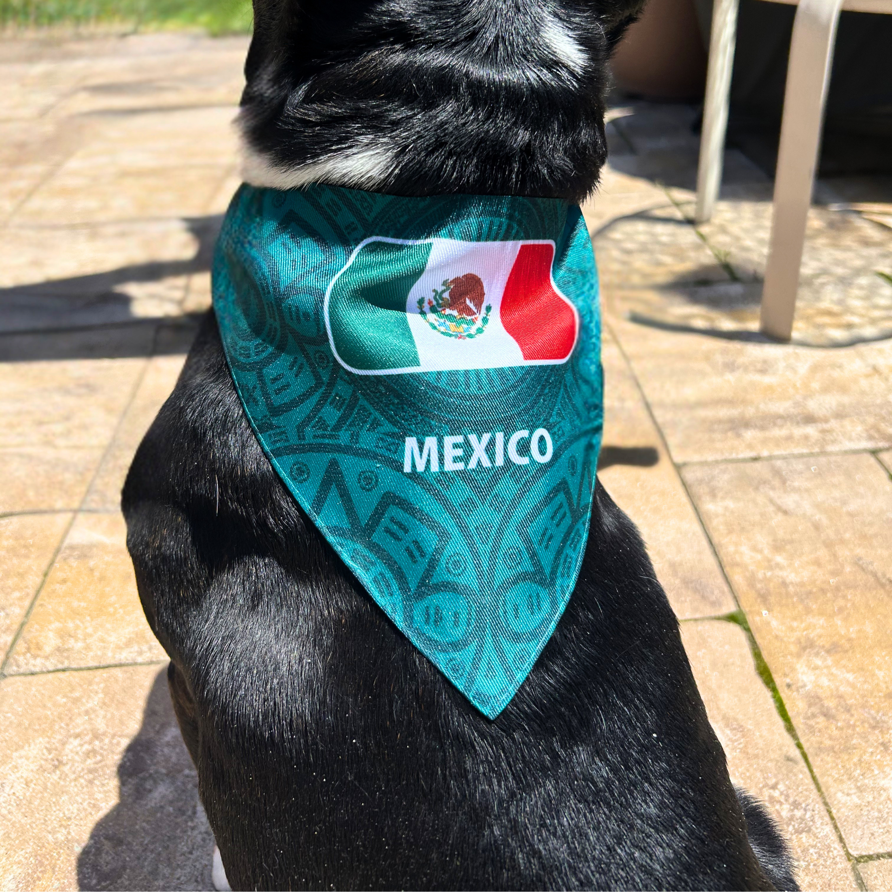 Mexico World Cup Pup Gear