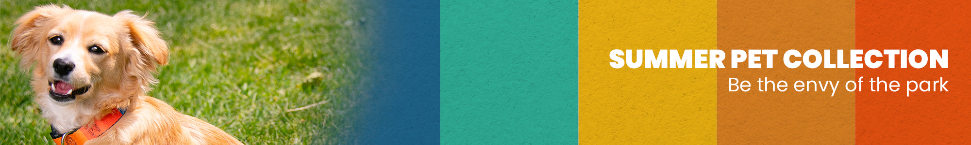 Summer Essentials Color Block