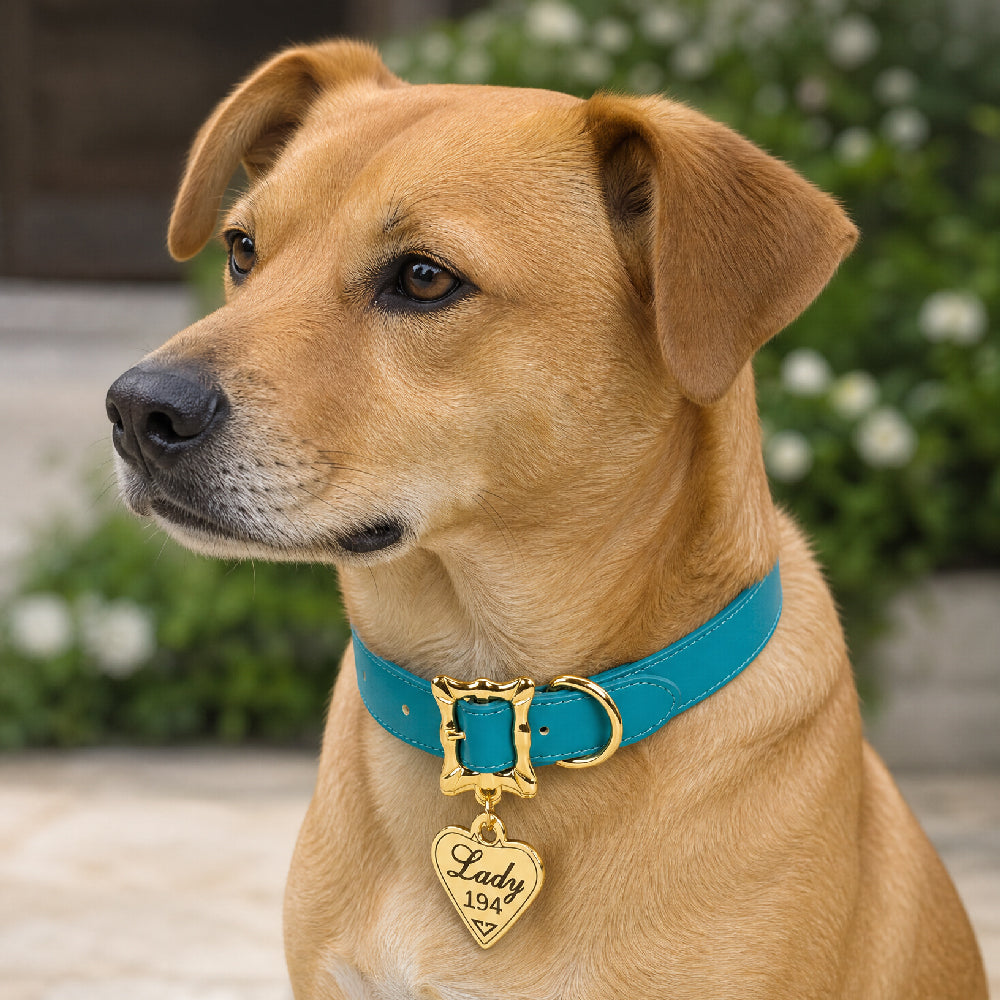 Lady and the Tramp Collar Movie Replica LADY 194 Heart Charm Dog Collars Vegan Leather Disney