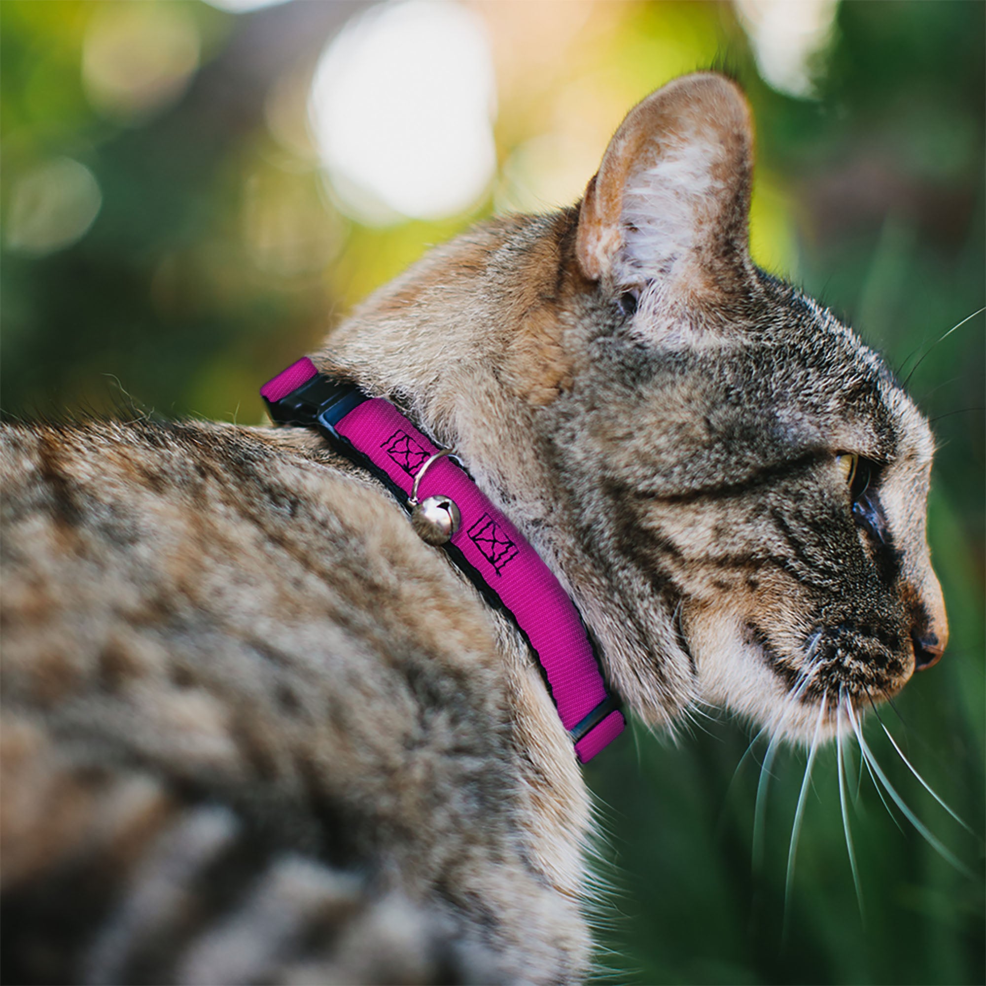 Cat Collar Breakaway - Fuchsia Breakaway Cat Collars Buckle-Down