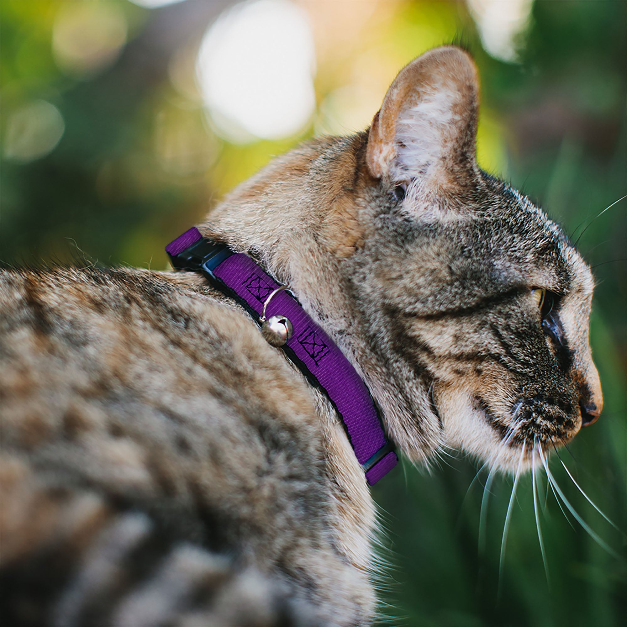 Cat Collar Breakaway - Purple Breakaway Cat Collars Buckle-Down