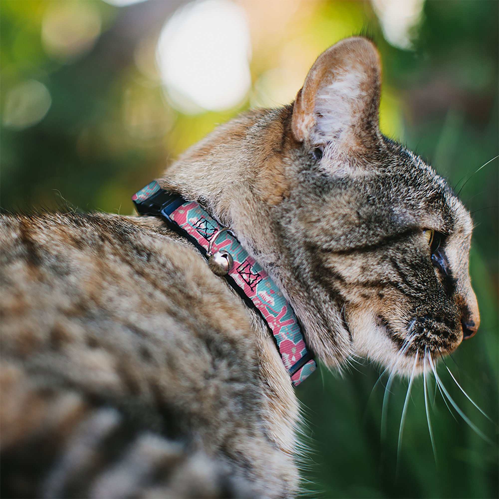 Cat Collar Breakaway - Angry Bunnies Turquoise Pinks Breakaway Cat Collars Buckle-Down