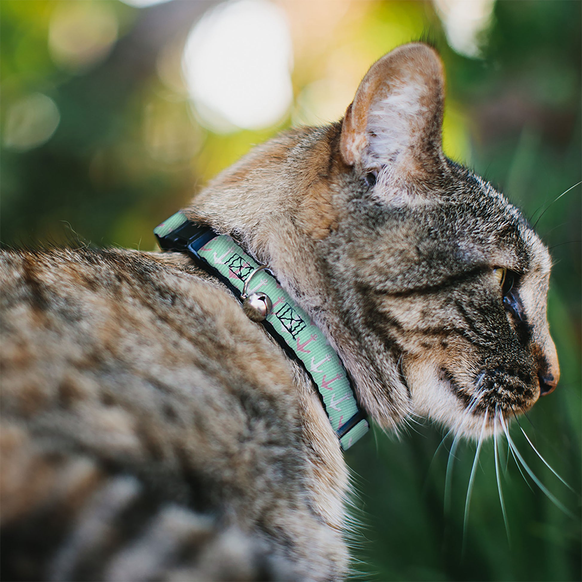 Cat Collar Breakaway - Anchor2 C U Green Pink White Breakaway Cat Collars Buckle-Down