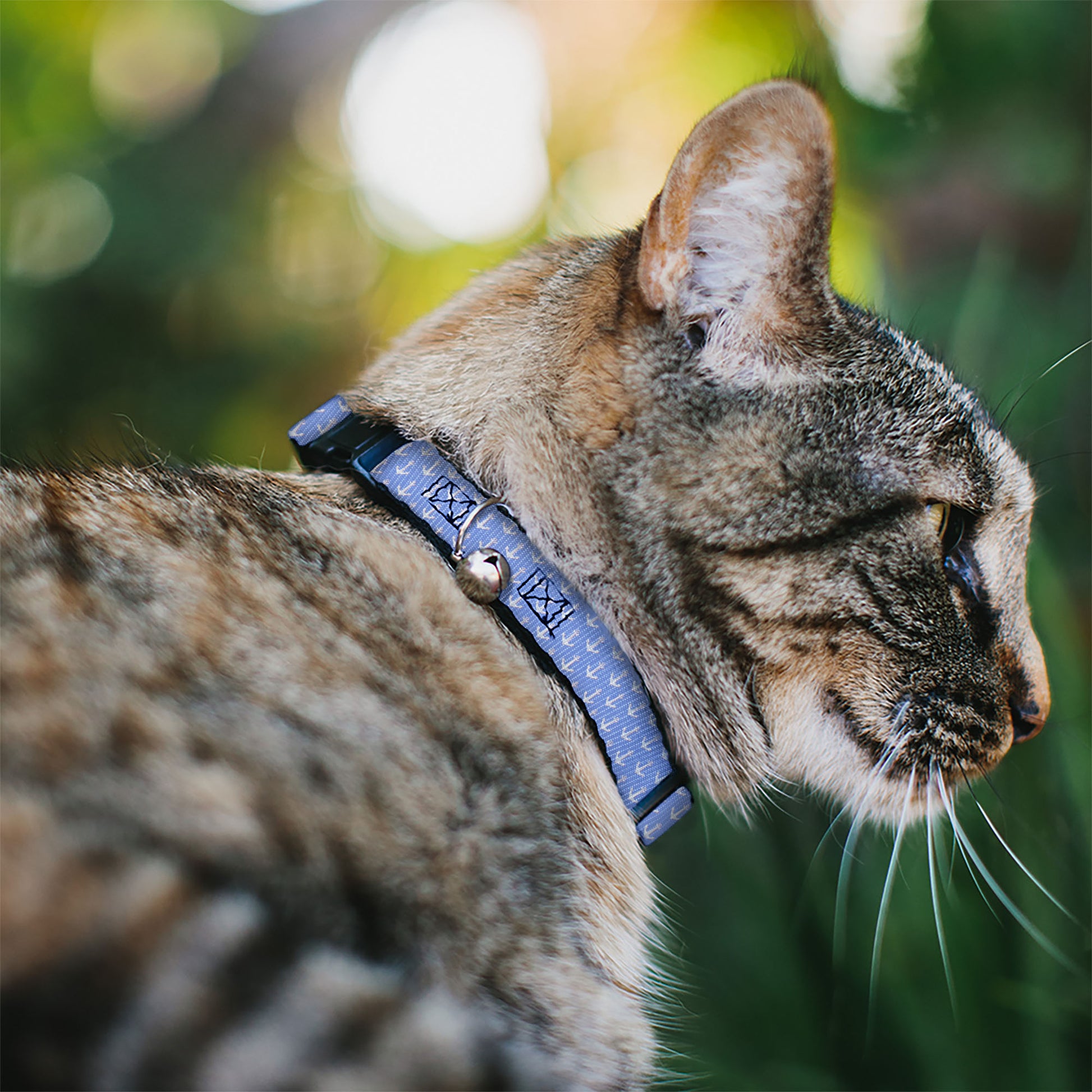 Cat Collar Breakaway - Anchor2 Monogram Baby Blue Baby Pink White Breakaway Cat Collars Buckle-Down