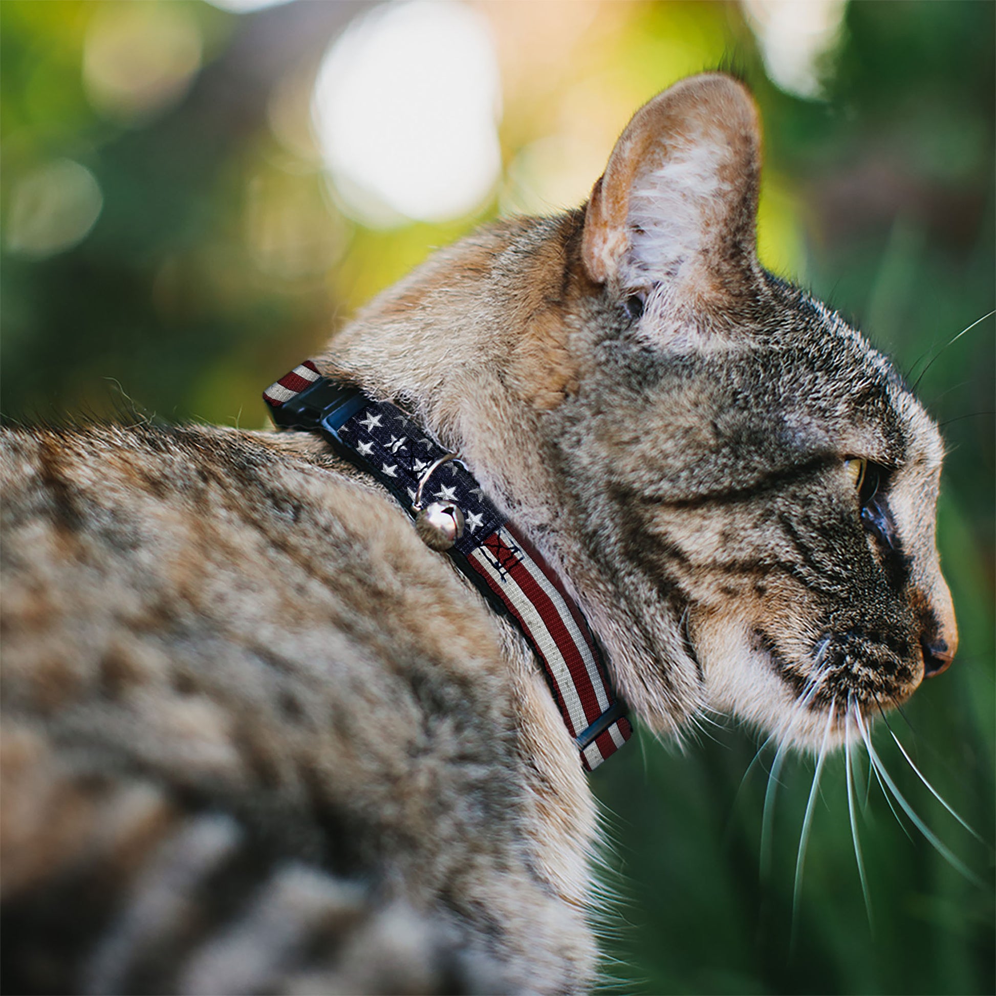 Cat Collar Breakaway - Americana Rustic Stars & Stripes Breakaway Cat Collars Buckle-Down