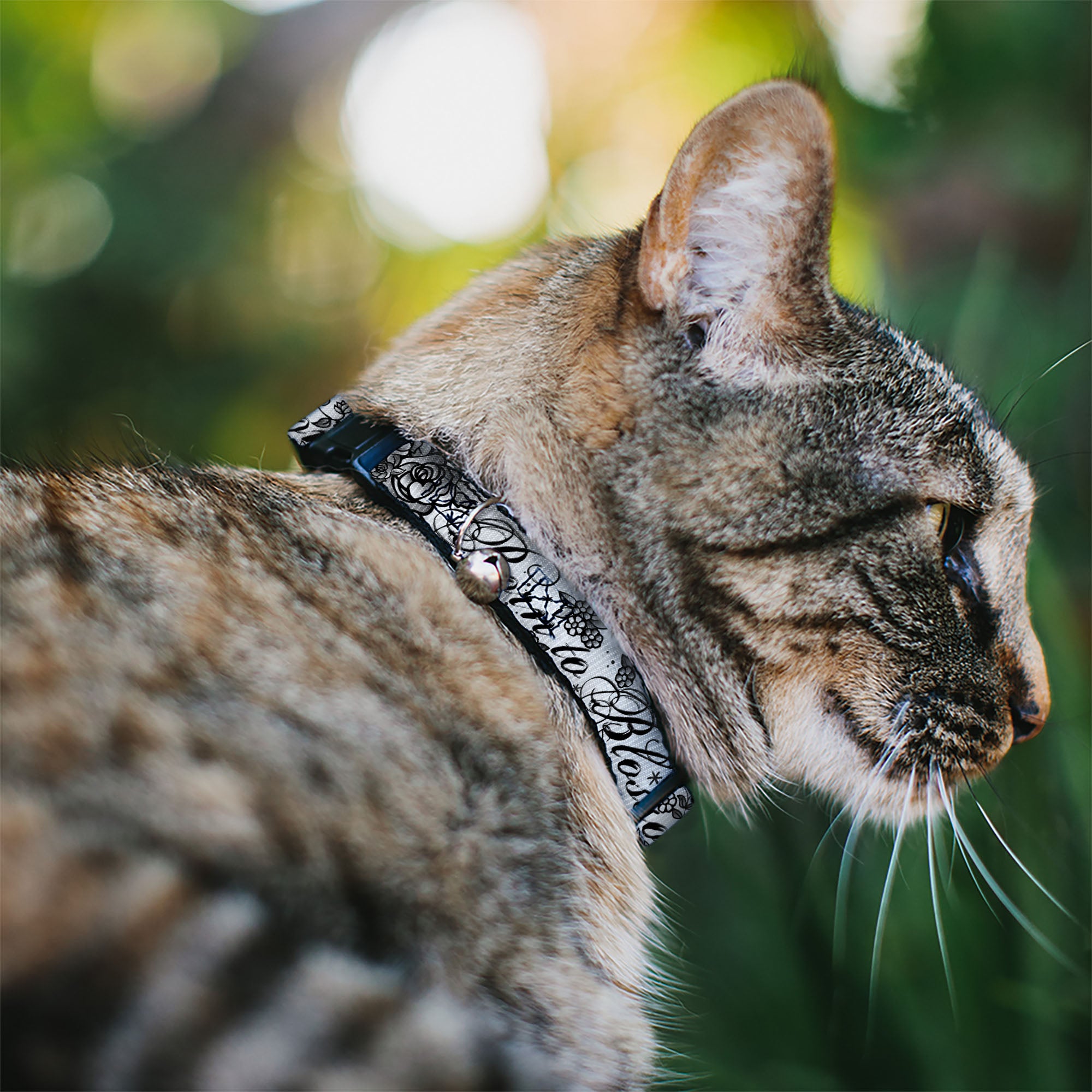 Cat Collar Breakaway - Born to Blossom Black White Breakaway Cat Collars Buckle-Down