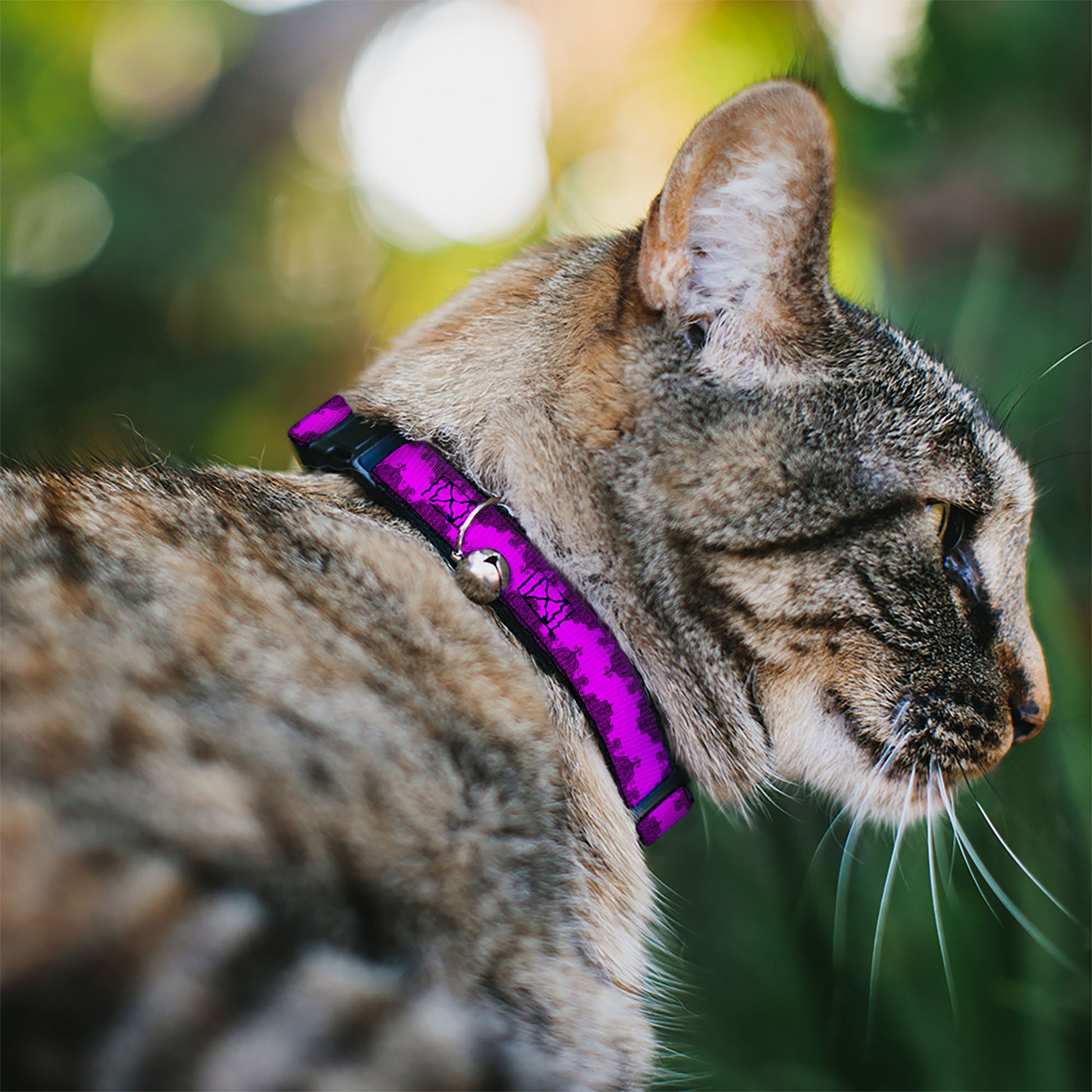Cat Collar Breakaway - Boudoir Wallpaper Fuchsia Black Breakaway Cat Collars Buckle-Down