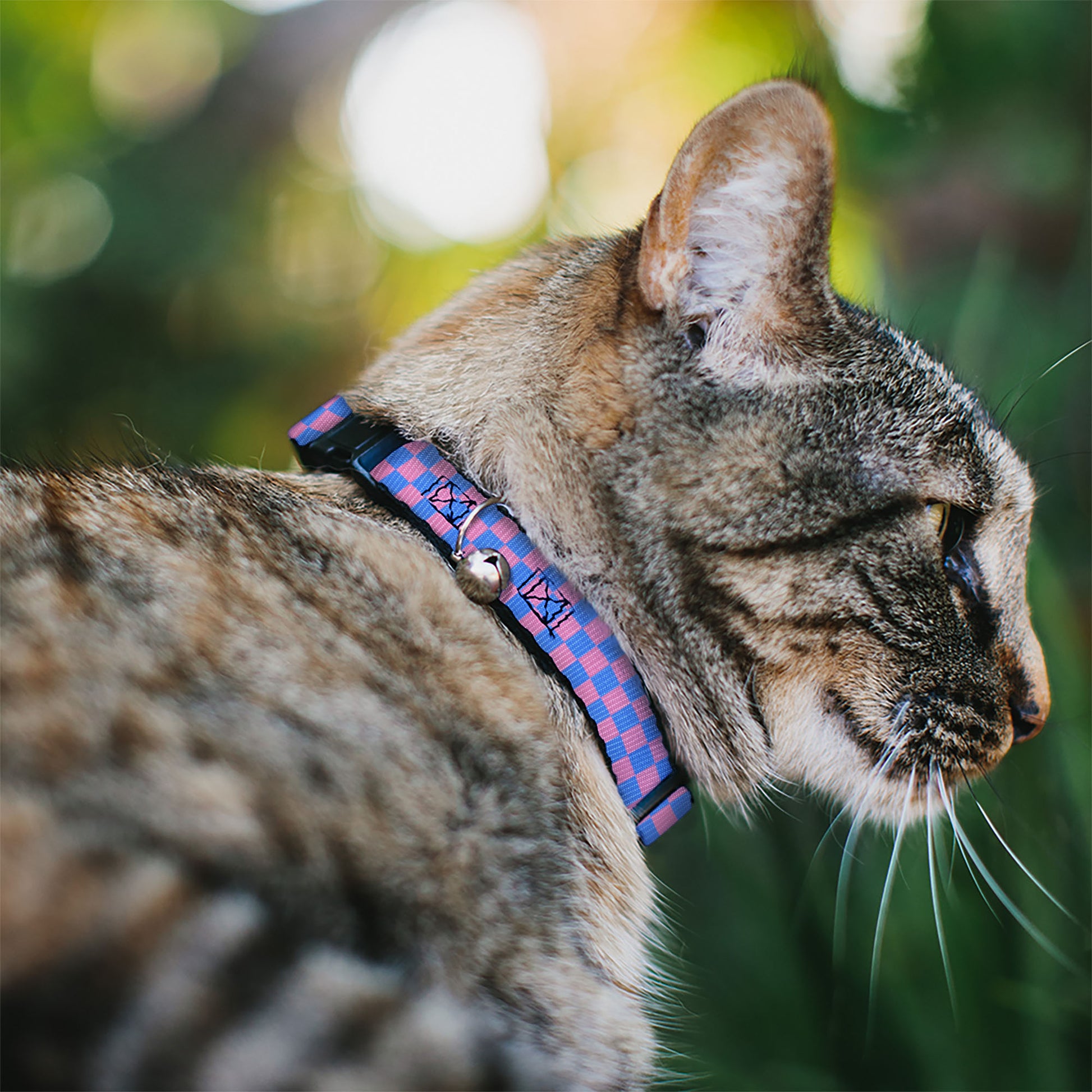 Cat Collar Breakaway - Checker Baby Pink Baby Blue Breakaway Cat Collars Buckle-Down