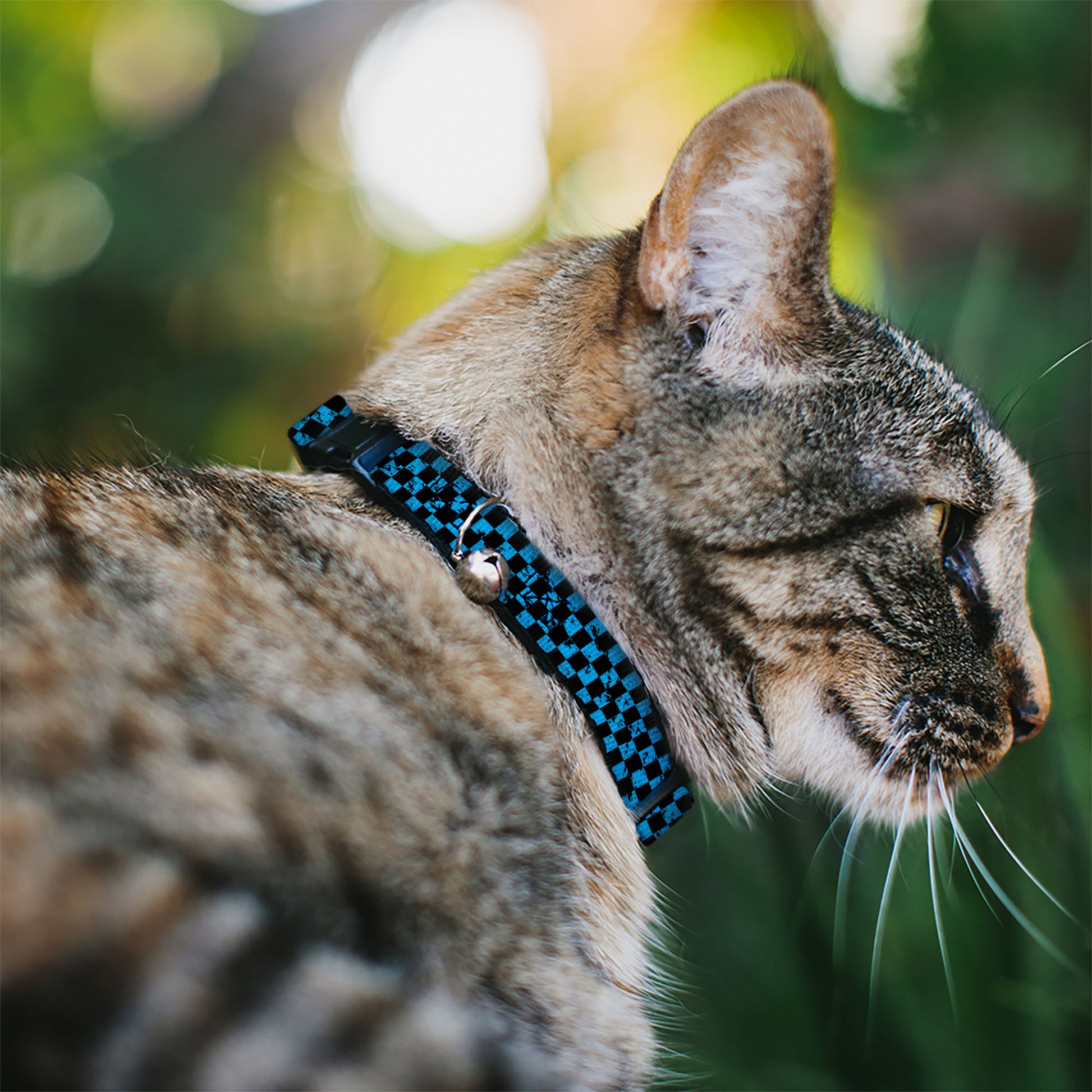 Cat Collar Breakaway - Checker Weathered Black Turquoise Breakaway Cat Collars Buckle-Down