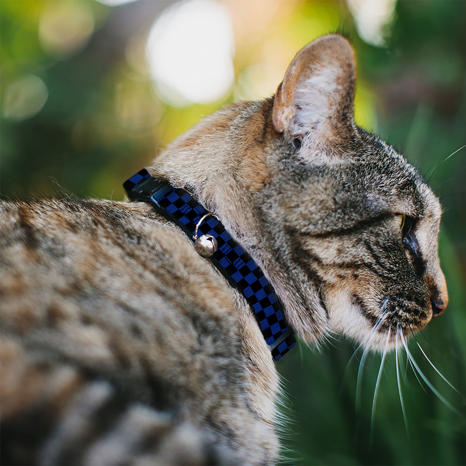 Cat Collar Breakaway - Checker Black Royal 288C Breakaway Cat Collars Buckle-Down