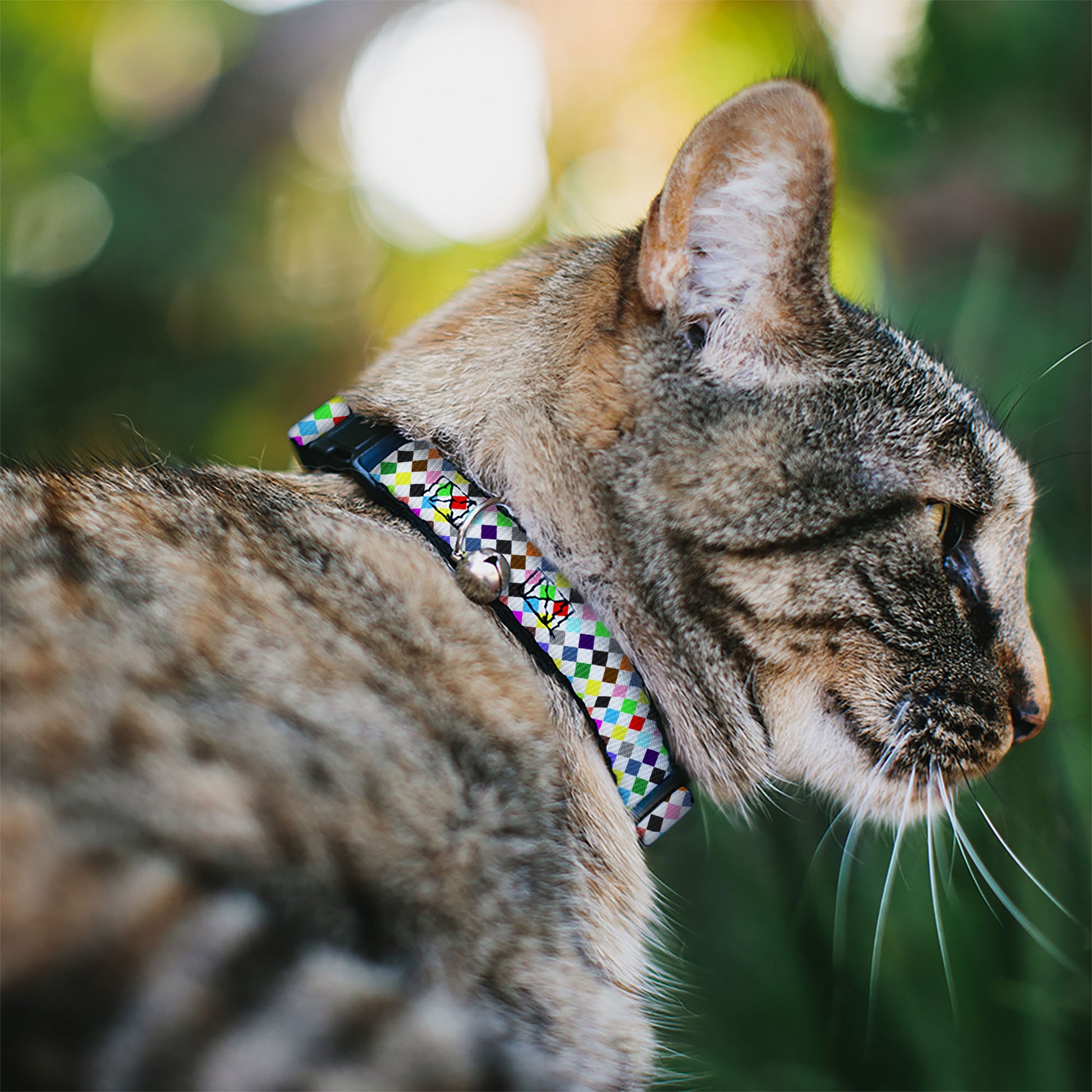 Cat Collar Breakaway - Diamonds White Multi Color Breakaway Cat Collars Buckle-Down