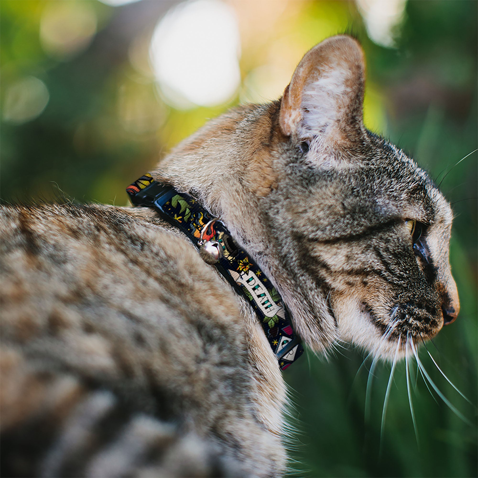 Cat Collar Breakaway - Death or Glory Black Breakaway Cat Collars Buckle-Down