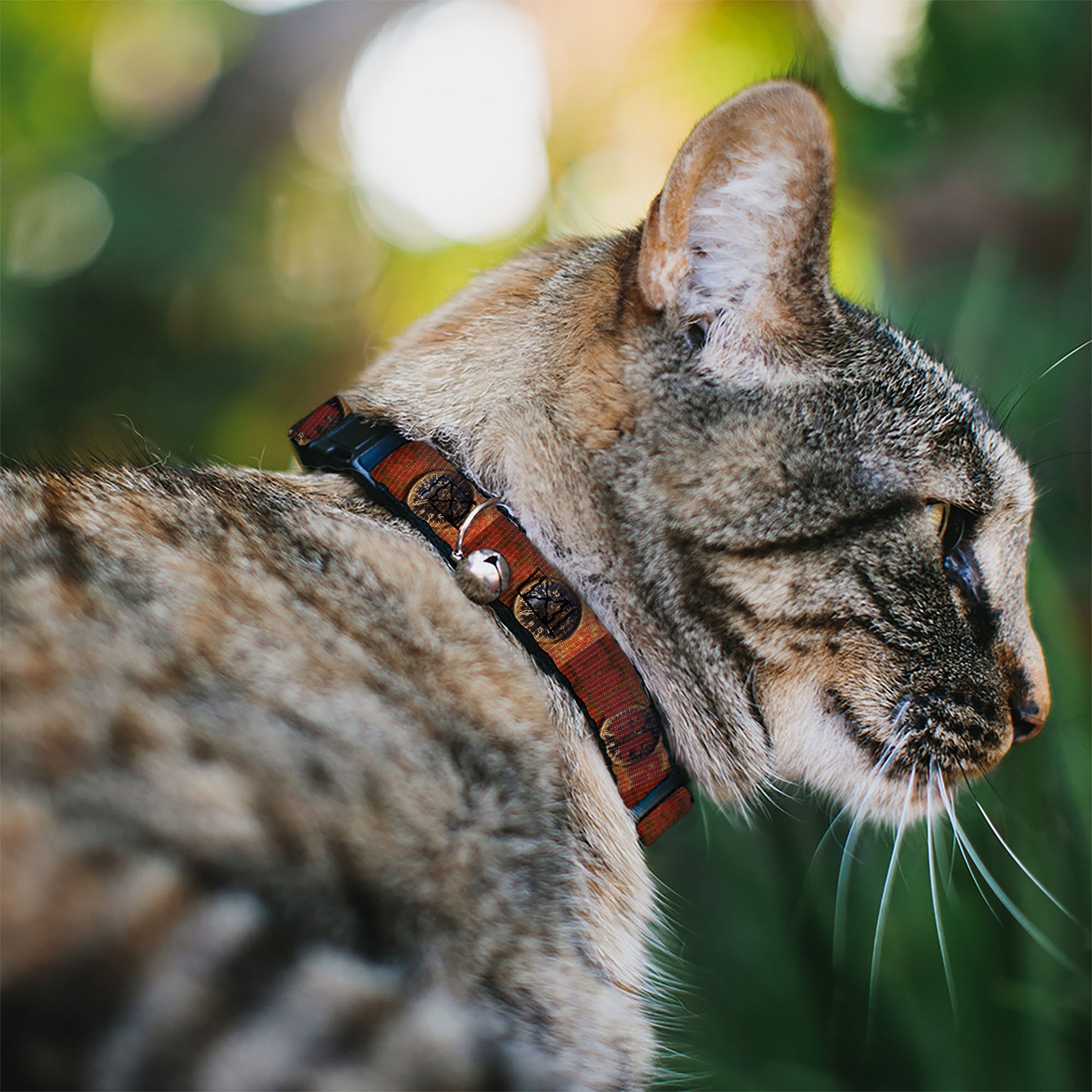 Cat Collar Breakaway - Danger Gauge Breakaway Cat Collars Buckle-Down