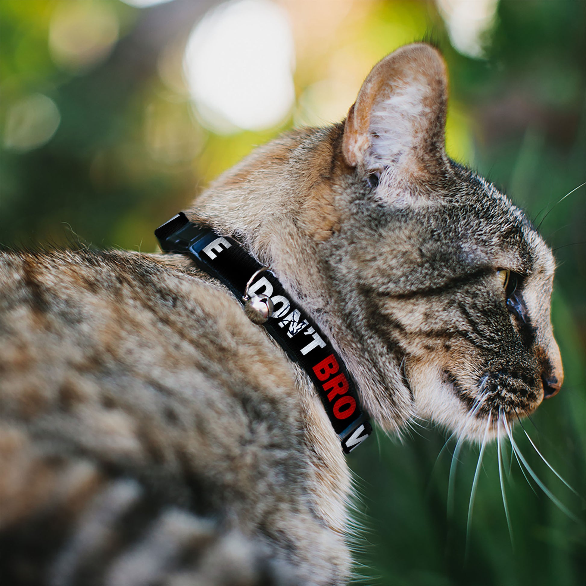 Cat Collar Breakaway - DON'T BRO ME IF YOU DON'T KNOW ME Black White Red Breakaway Cat Collars Buckle-Down