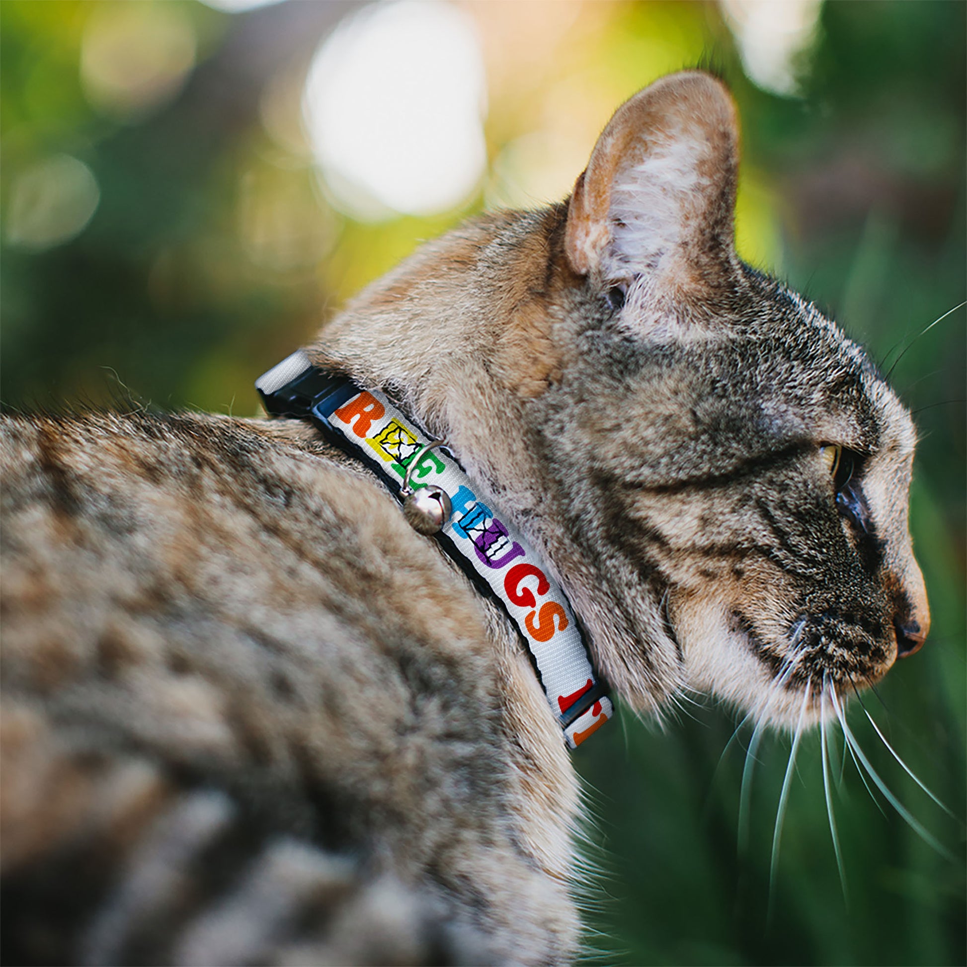 Cat Collar Breakaway - FREE HUGS White Multi Color Breakaway Cat Collars Buckle-Down