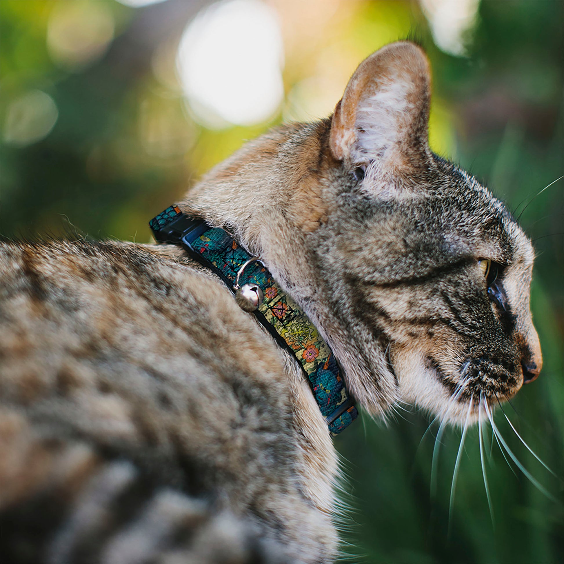 Cat Collar Breakaway - Honor CLOSE-UP Tan Breakaway Cat Collars Buckle-Down