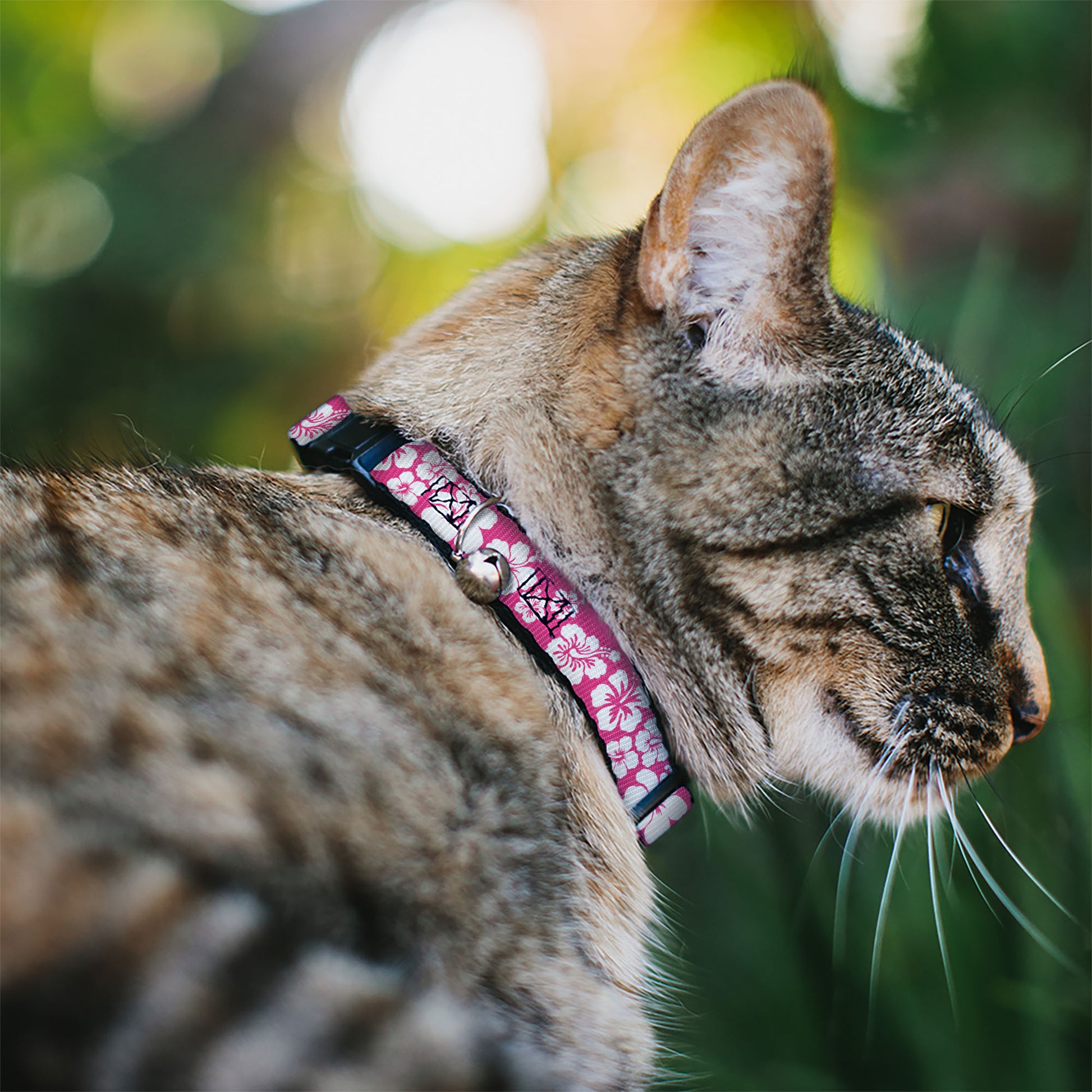 Cat Collar Breakaway - Hibiscus Neon Pink White Breakaway Cat Collars Buckle-Down