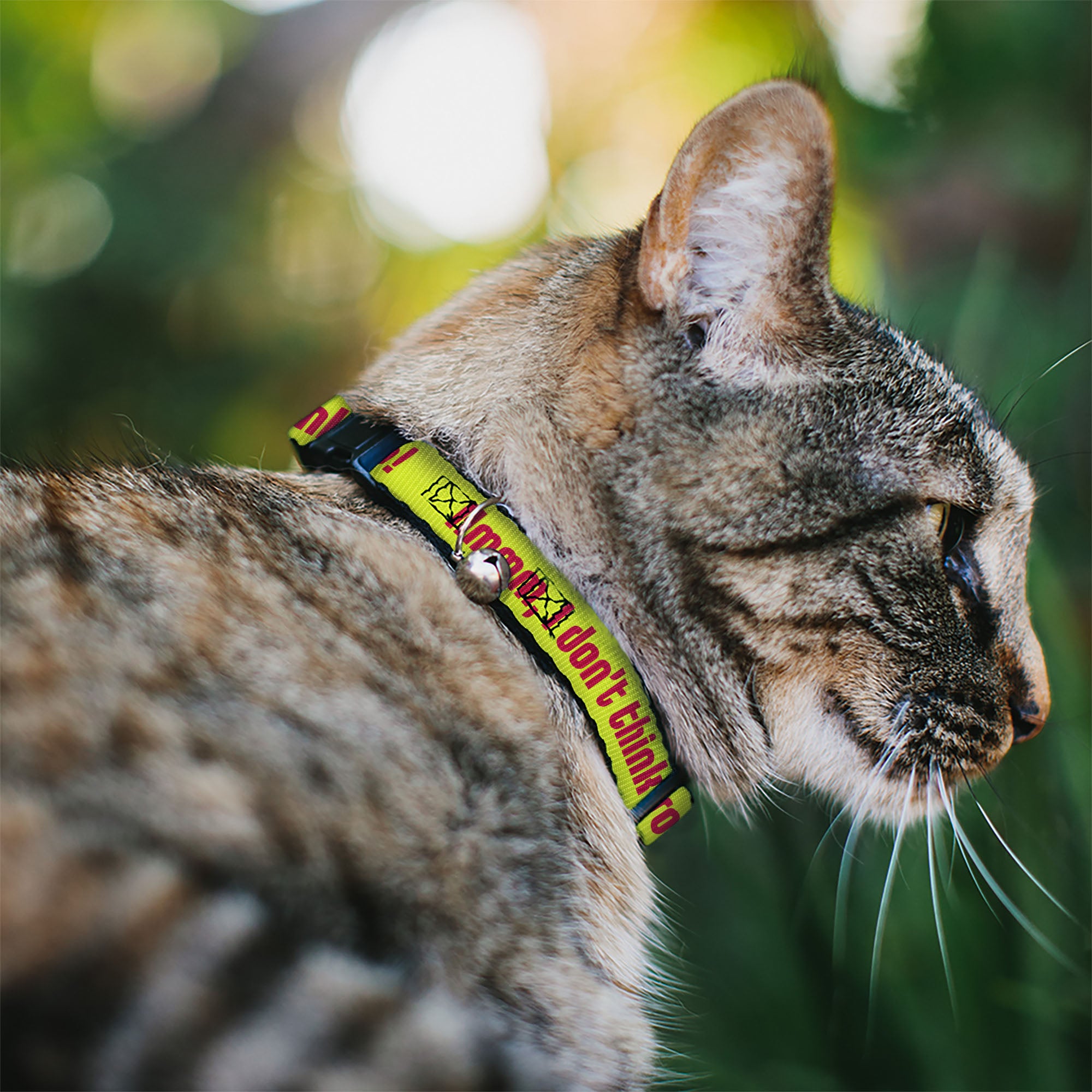 Cat Collar Breakaway - HMMM, I DON'T THINK SO! Yellow Pink Breakaway Cat Collars Buckle-Down