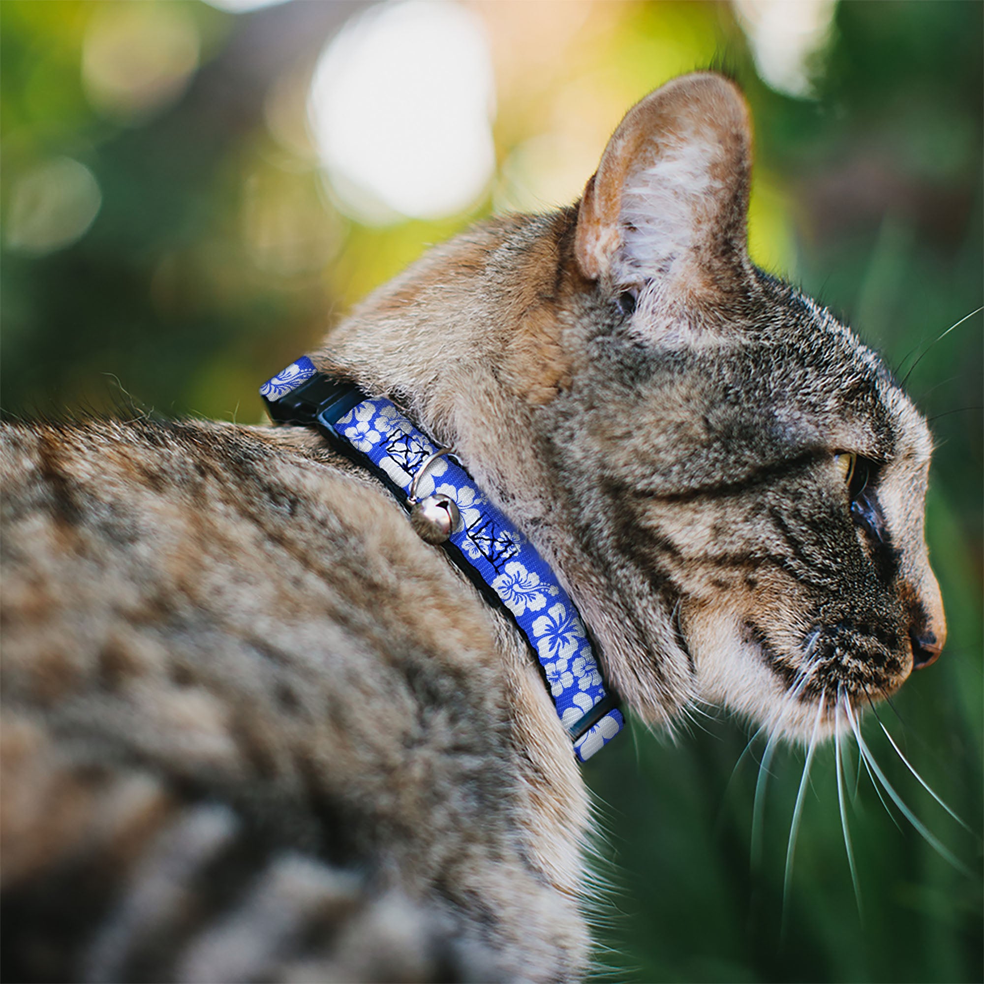Cat Collar Breakaway - Hibiscus Blue White Breakaway Cat Collars Buckle-Down