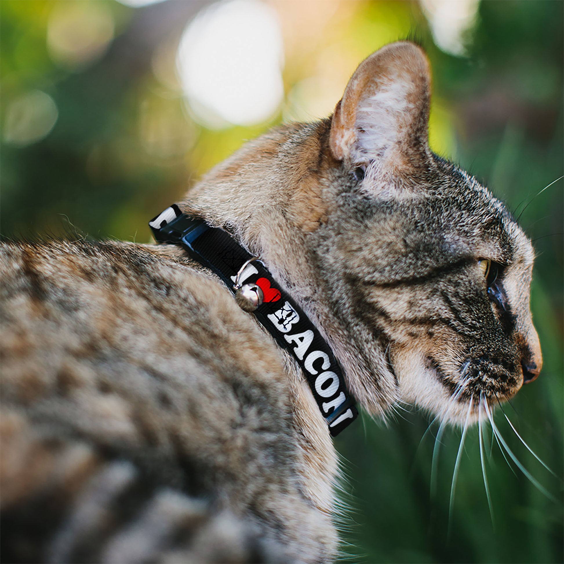 Cat Collar Breakaway - I "HEART" BACON Black White Red Breakaway Cat Collars Buckle-Down