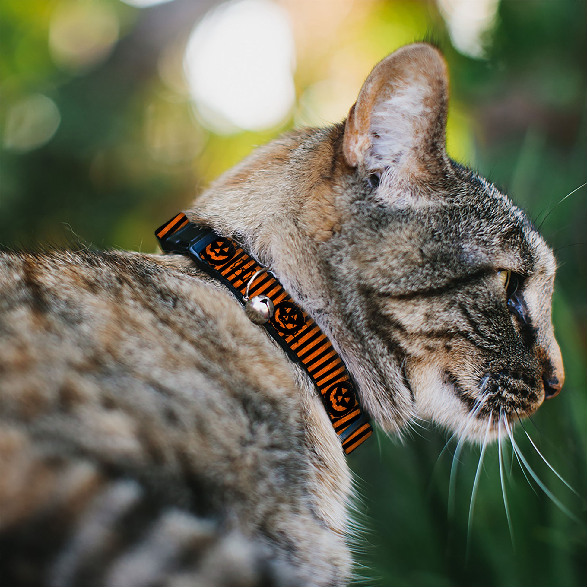 Cat Collar Breakaway with Bell - Jack-o'-Lantern Pumpkin Stripe Orange Black - NARROW Fits 8.5-12" Breakaway Cat Collars Buckle-Down