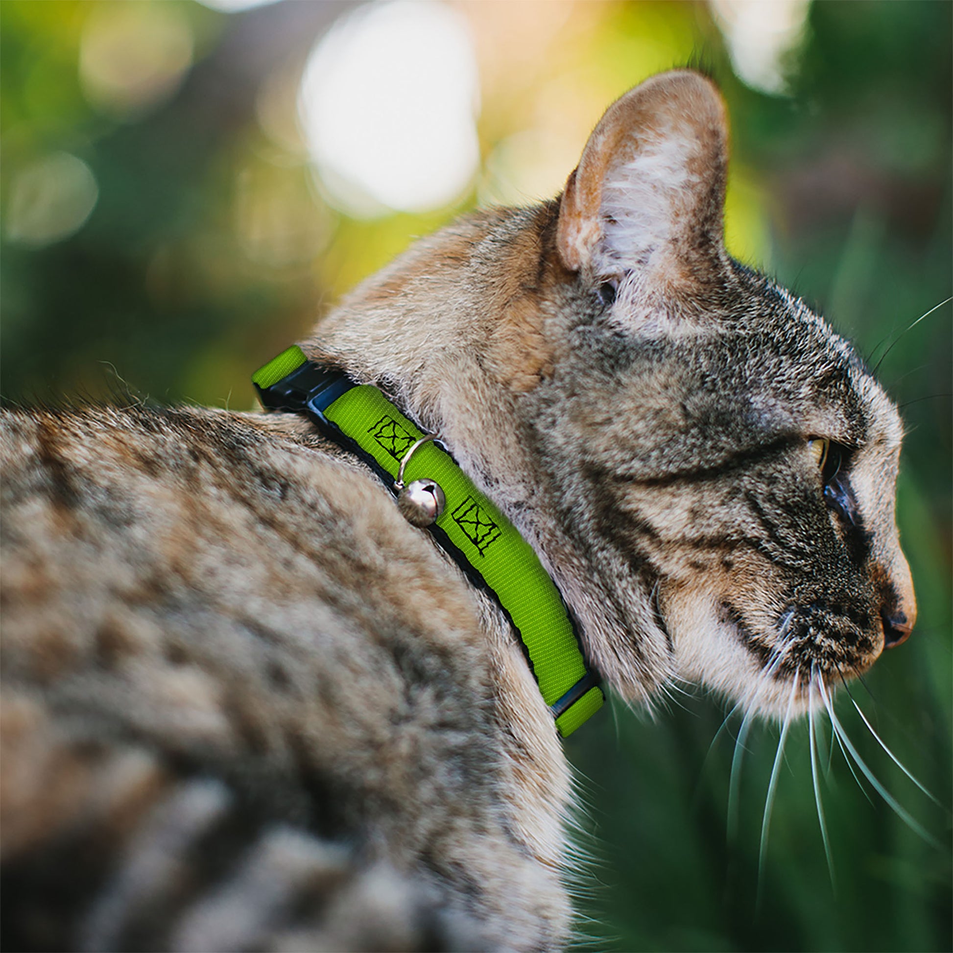Cat Collar Breakaway - Lime Green Breakaway Cat Collars Buckle-Down