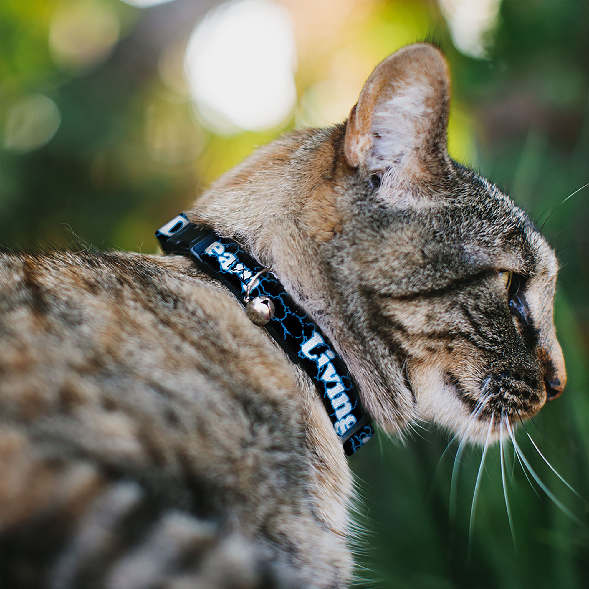 Cat Collar Breakaway - LIVING THE DREAM Clouds Black Blue White Breakaway Cat Collars Buckle-Down