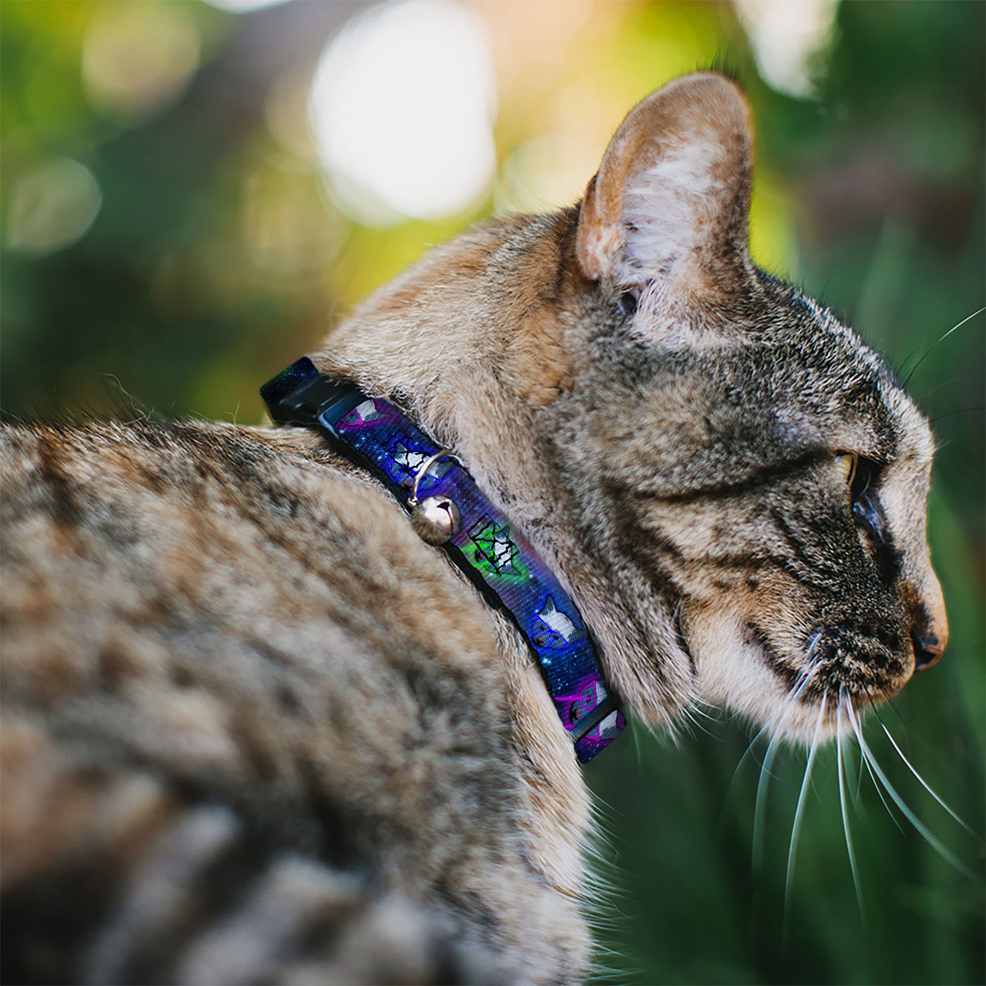 Cat Collar Breakaway - Laser Eye Cats in Space Breakaway Cat Collars Buckle-Down