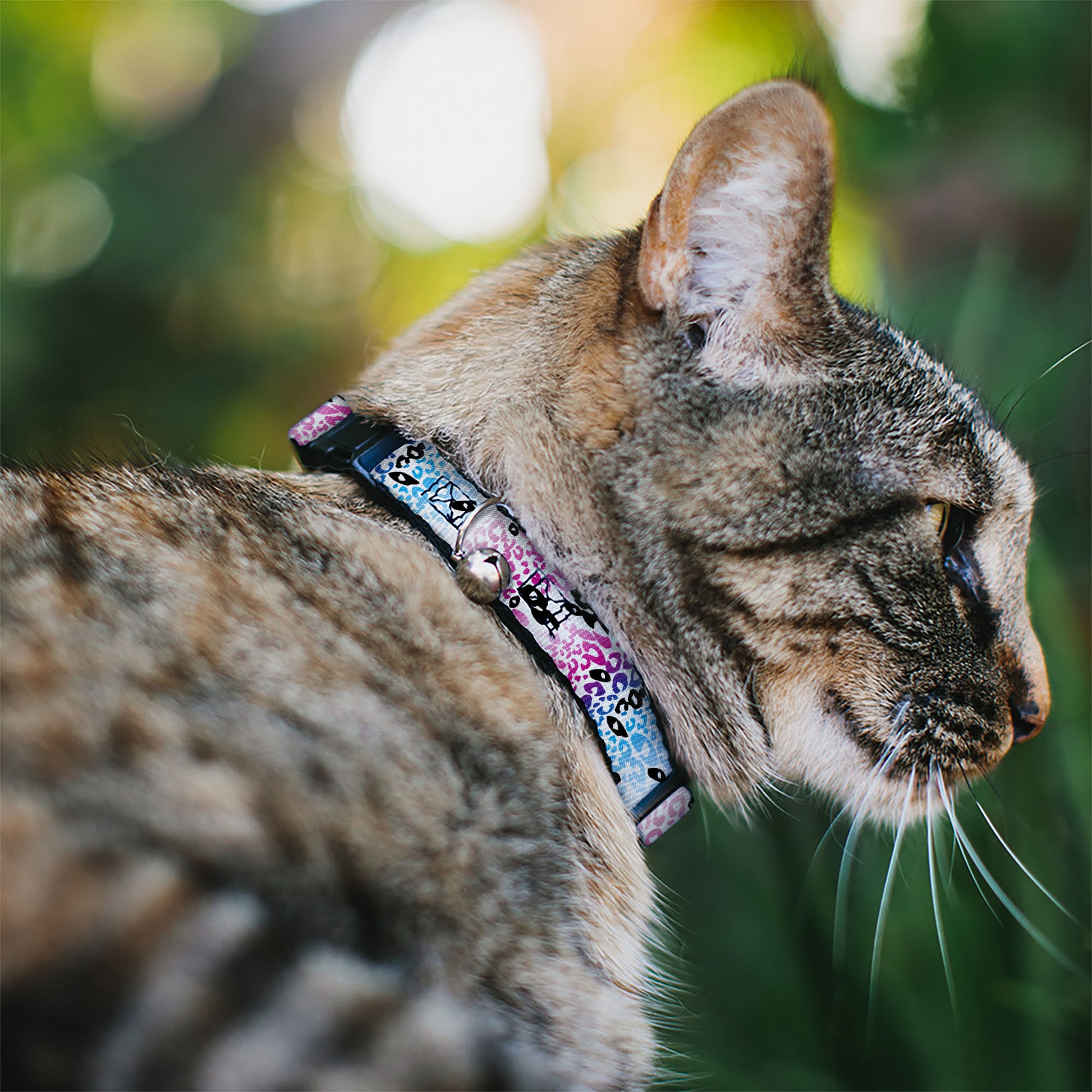 Cat Collar Breakaway - Leopard White Pinks Blues Black Breakaway Cat Collars Buckle-Down