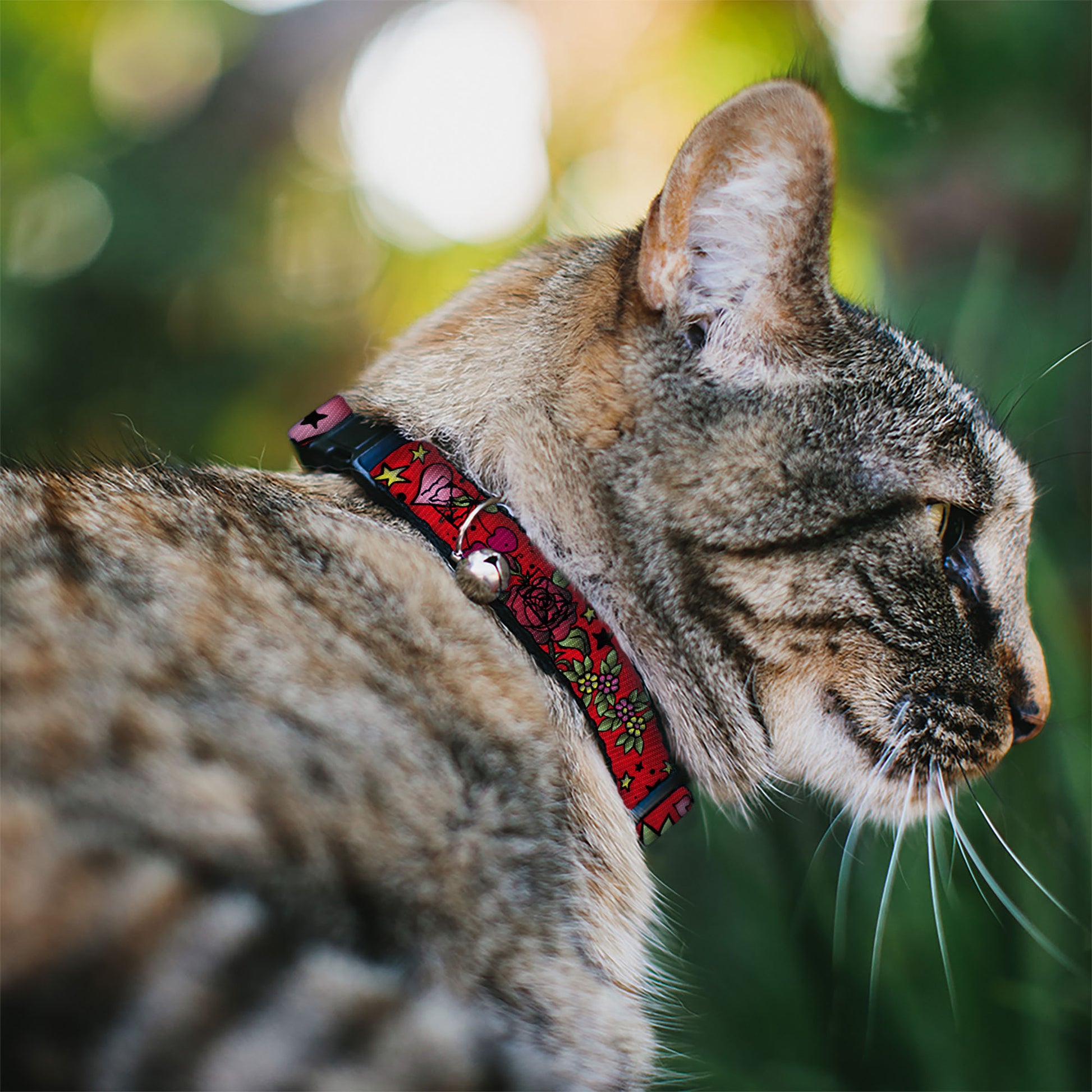 Cat Collar Breakaway - Mom & Dad CLOSE-UP Red Breakaway Cat Collars Buckle-Down