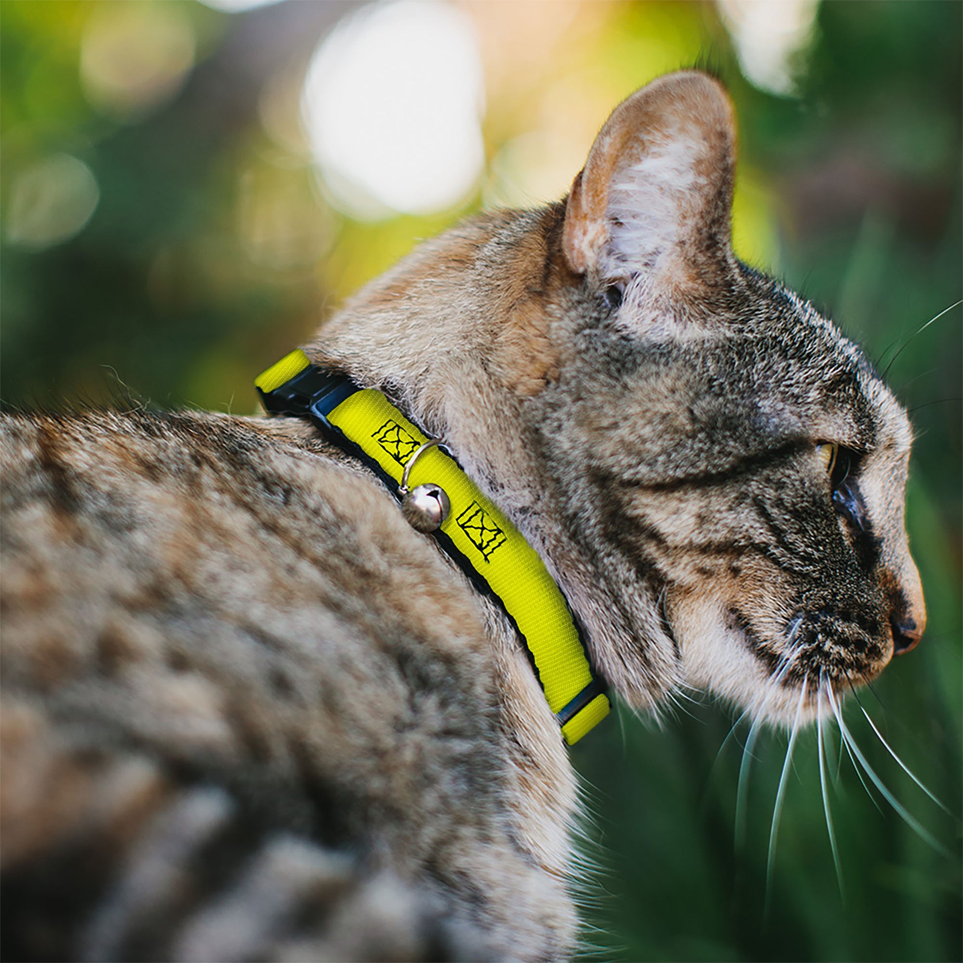 Cat Collar Breakaway - Neon Yellow Breakaway Cat Collars Buckle-Down