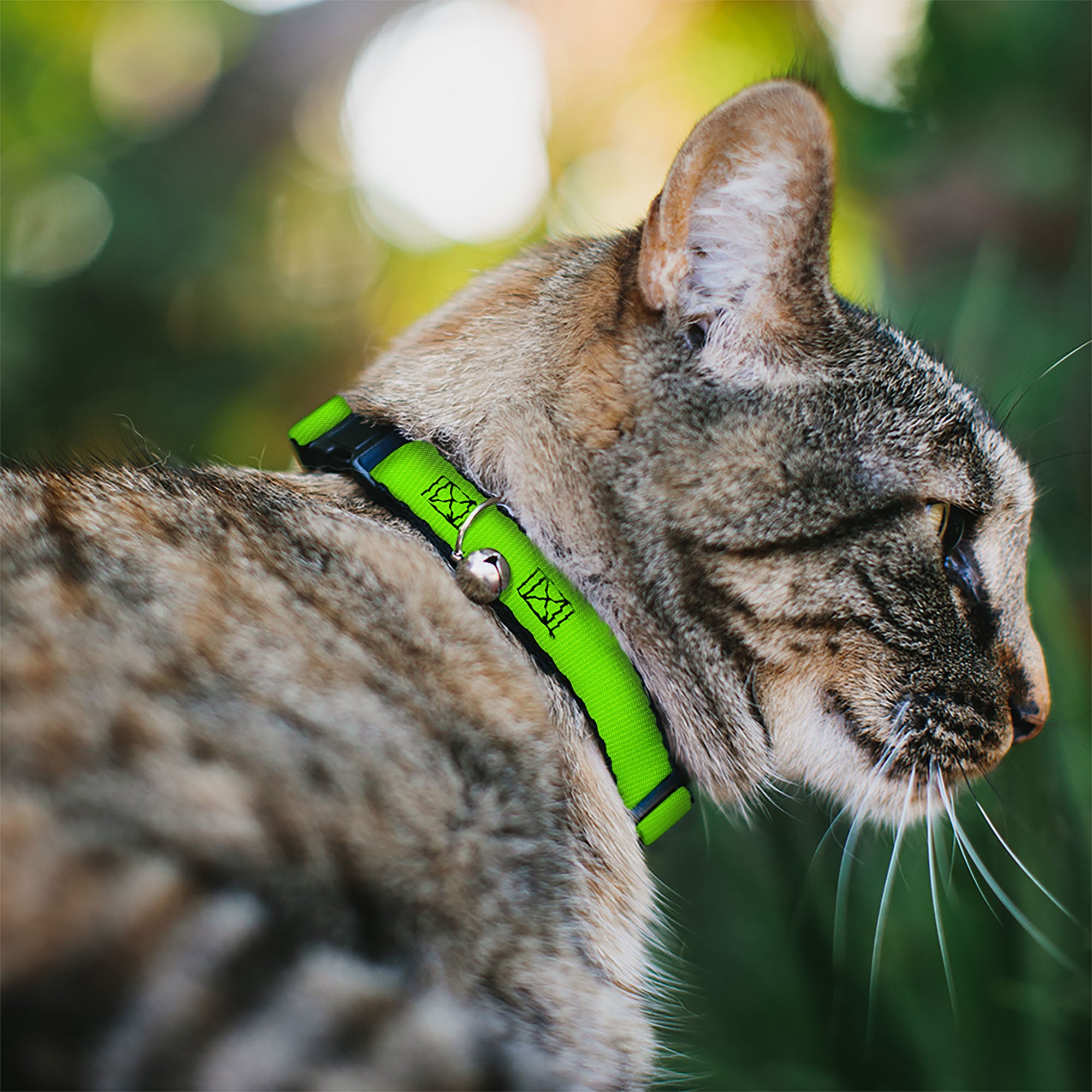 Cat Collar Breakaway - Neon Green Breakaway Cat Collars Buckle-Down
