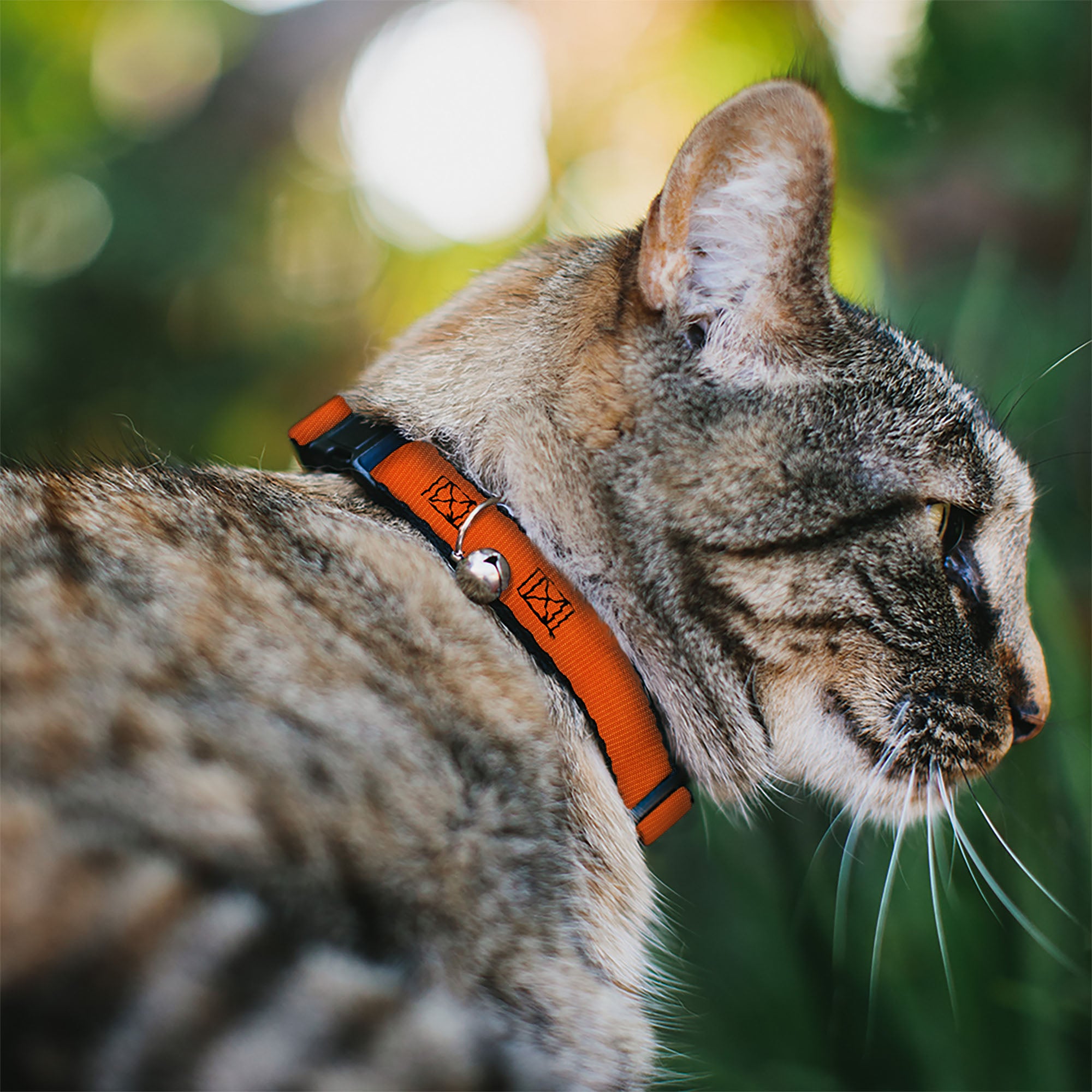 Cat Collar Breakaway - Neon Orange Breakaway Cat Collars Buckle-Down
