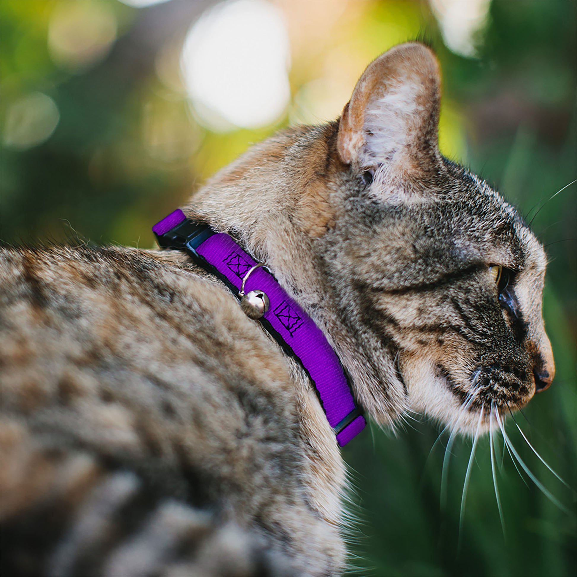 Cat Collar Breakaway - Neon Purple Breakaway Cat Collars Buckle-Down