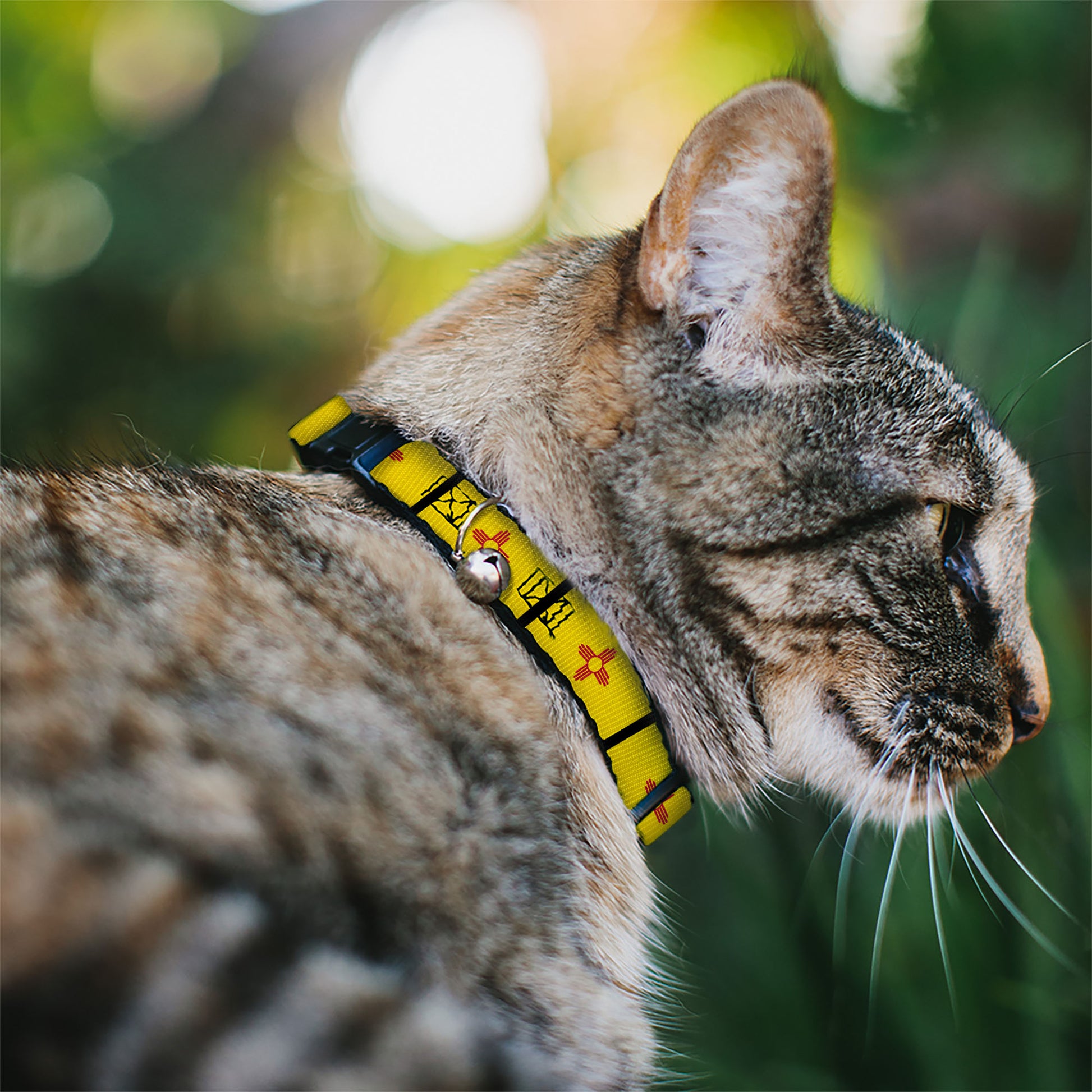 Cat Collar Breakaway - New Mexico Flag Black Breakaway Cat Collars Buckle-Down