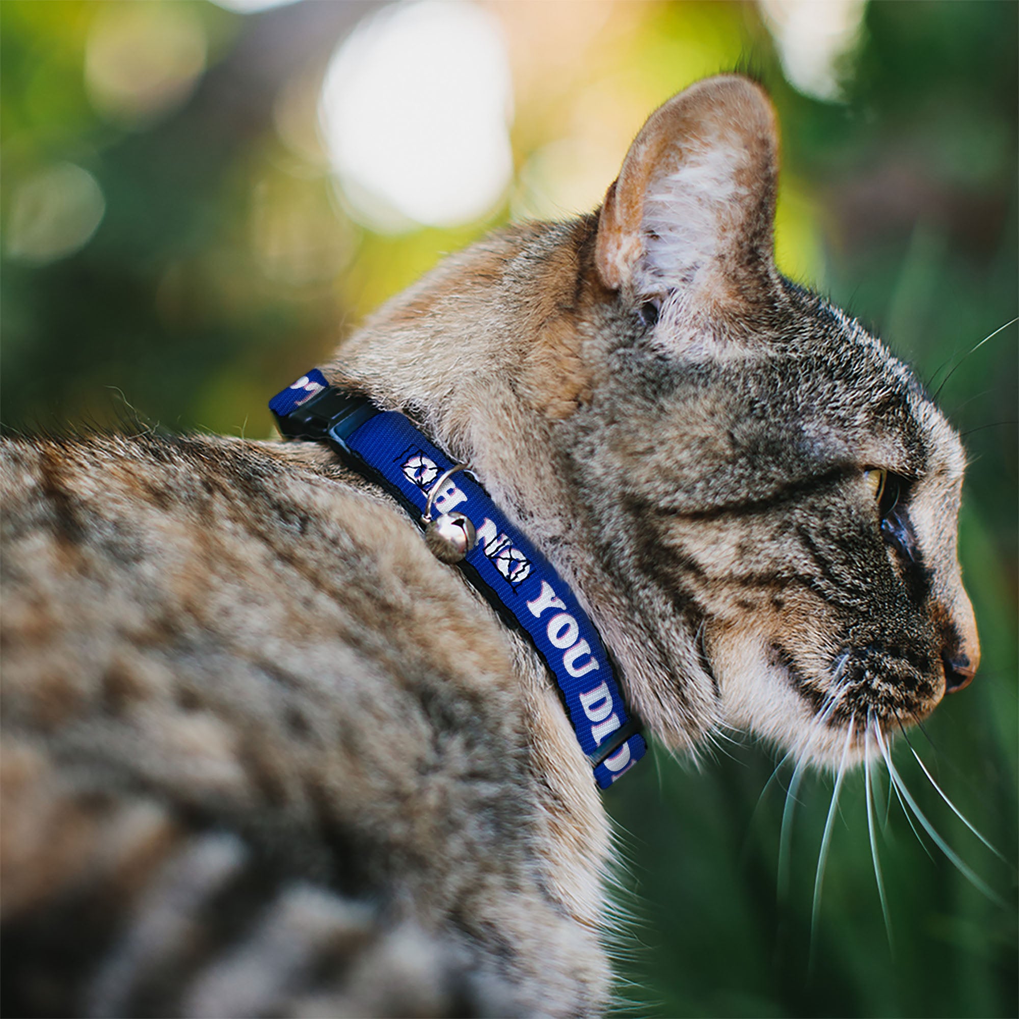 Cat Collar Breakaway - OH, NO YOU DIDN'T!!! Navy Purple White Breakaway Cat Collars Buckle-Down