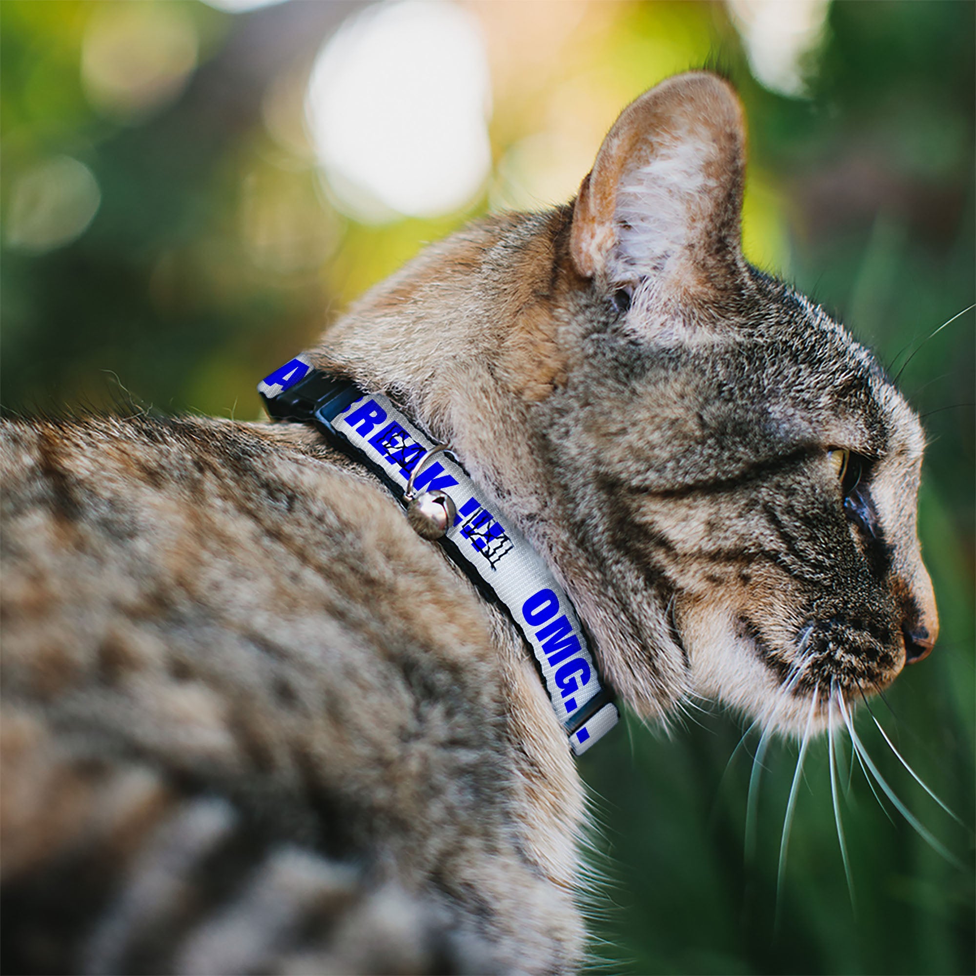 Cat Collar Breakaway - OMG GIVE ME A BREAK!!! White Royal Breakaway Cat Collars Buckle-Down