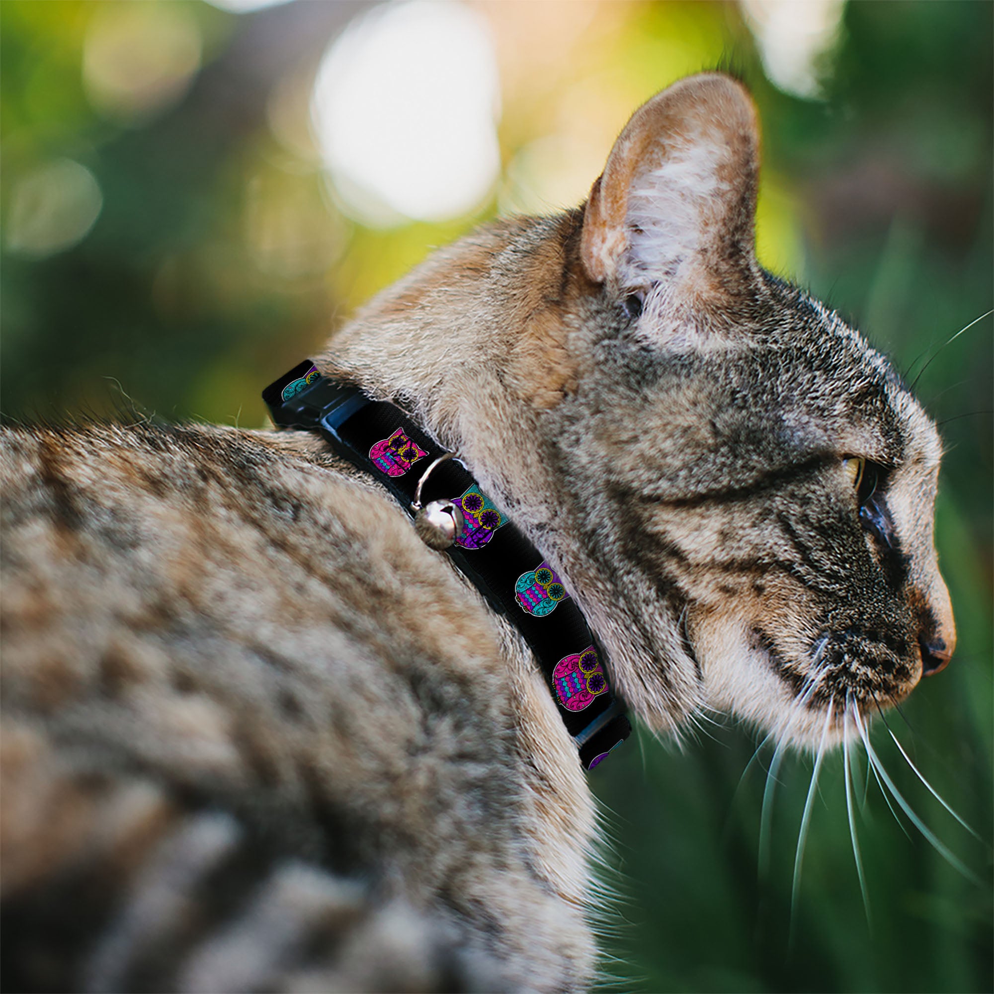 Cat Collar Breakaway - Owls Black Fuchsia Purple Turquoise Breakaway Cat Collars Buckle-Down