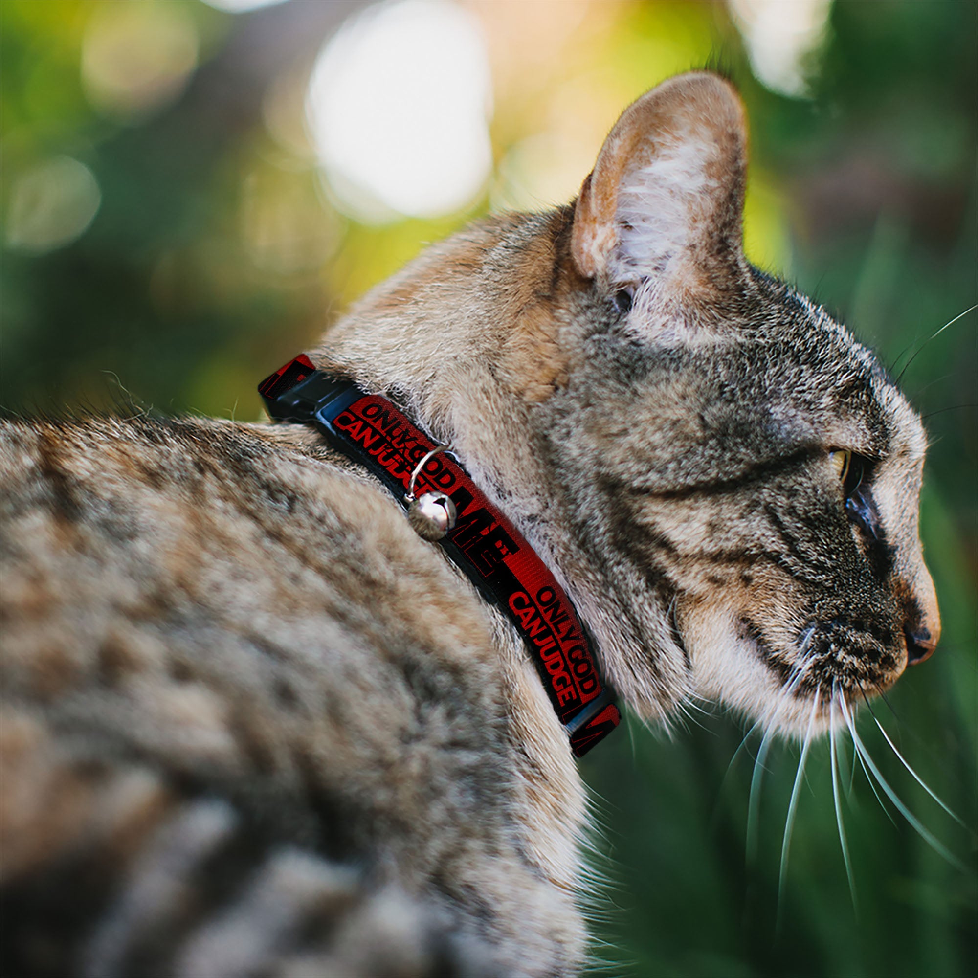 Cat Collar Breakaway - ONLY GOD CAN JUDGE ME Stripe Red Black Red Breakaway Cat Collars Buckle-Down