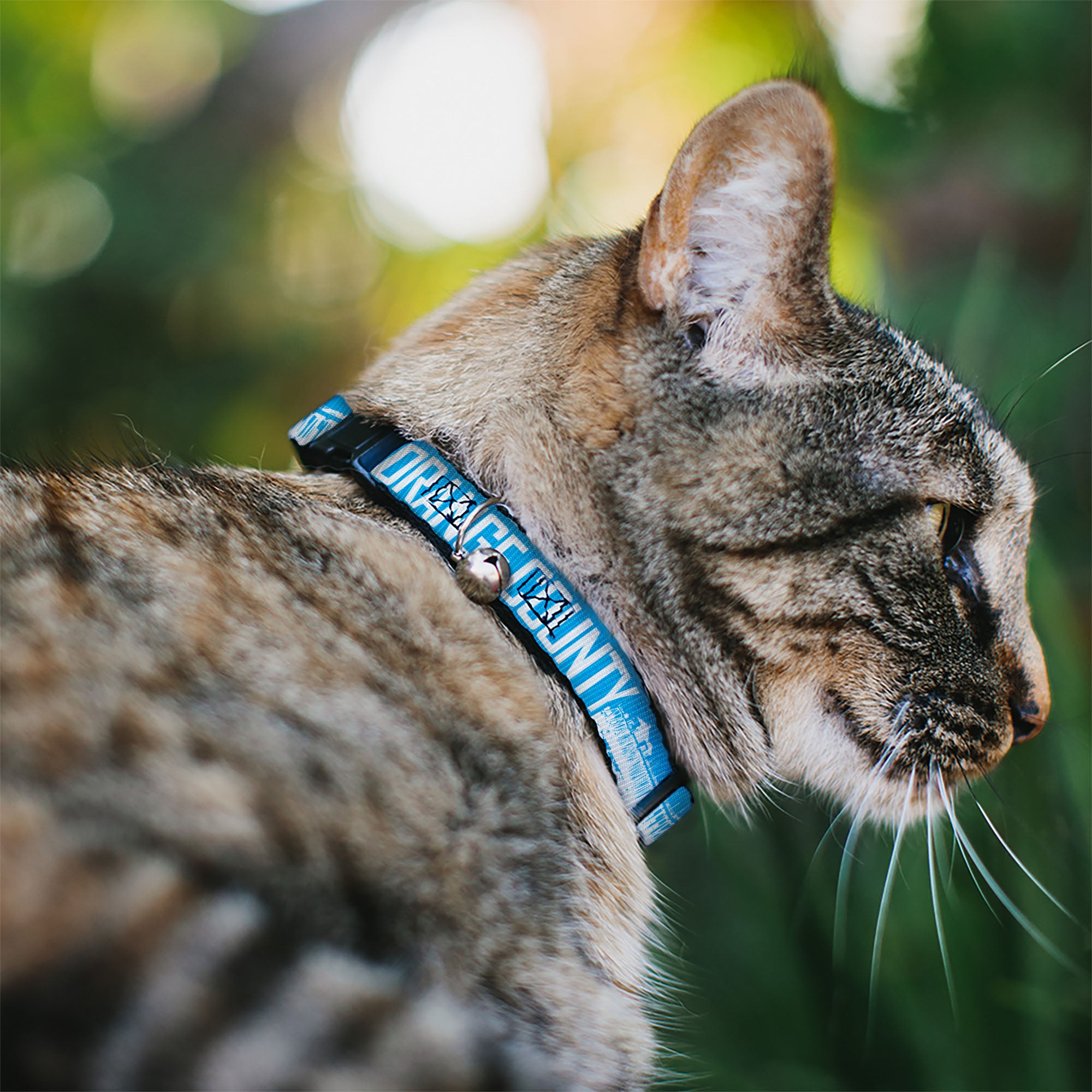 Cat Collar Breakaway - ORANGE COUNTY Pier Scene Blue White Breakaway Cat Collars Buckle-Down
