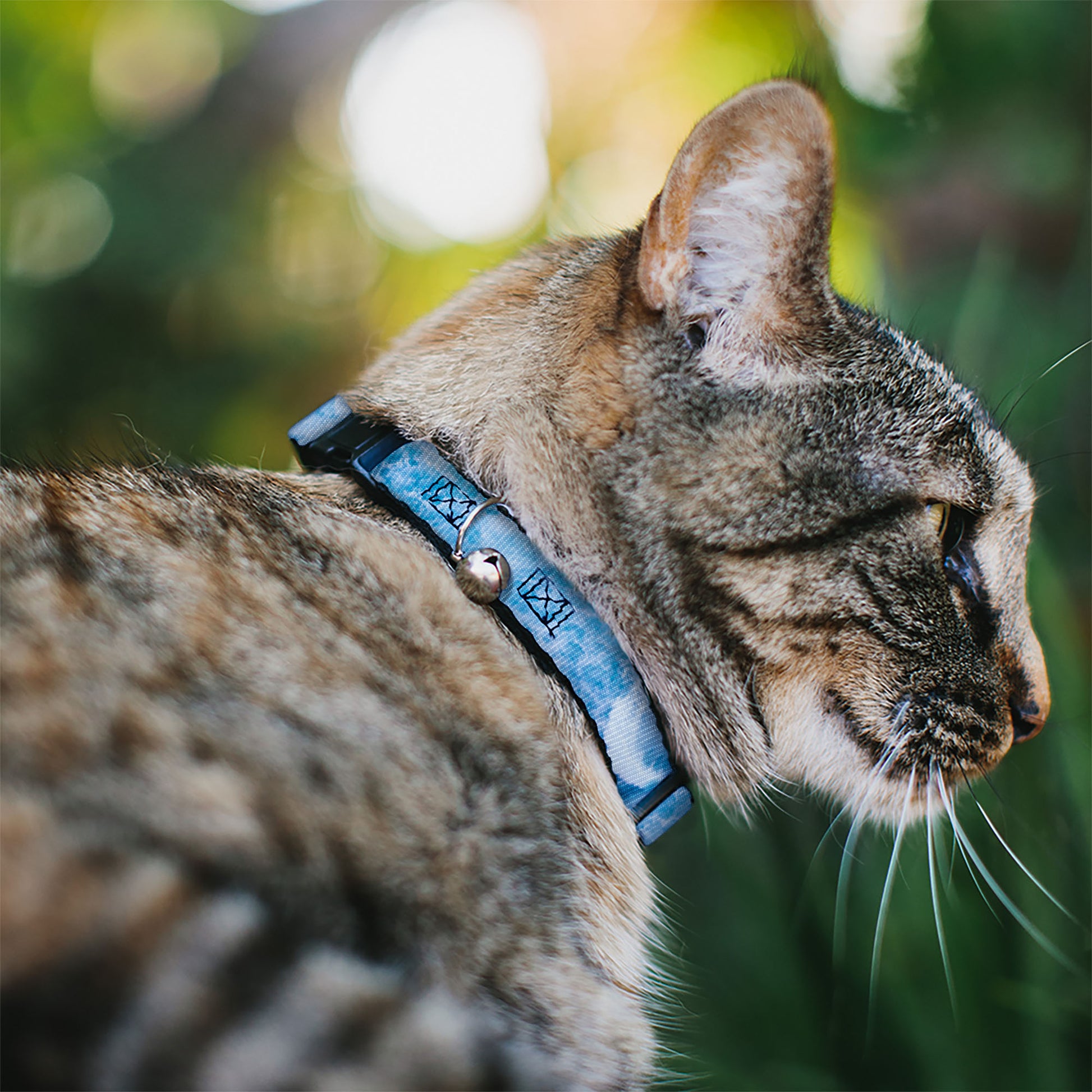 Cat Collar Breakaway with Bell - Ocean Vivid White Wash Breakaway Cat Collars Buckle-Down