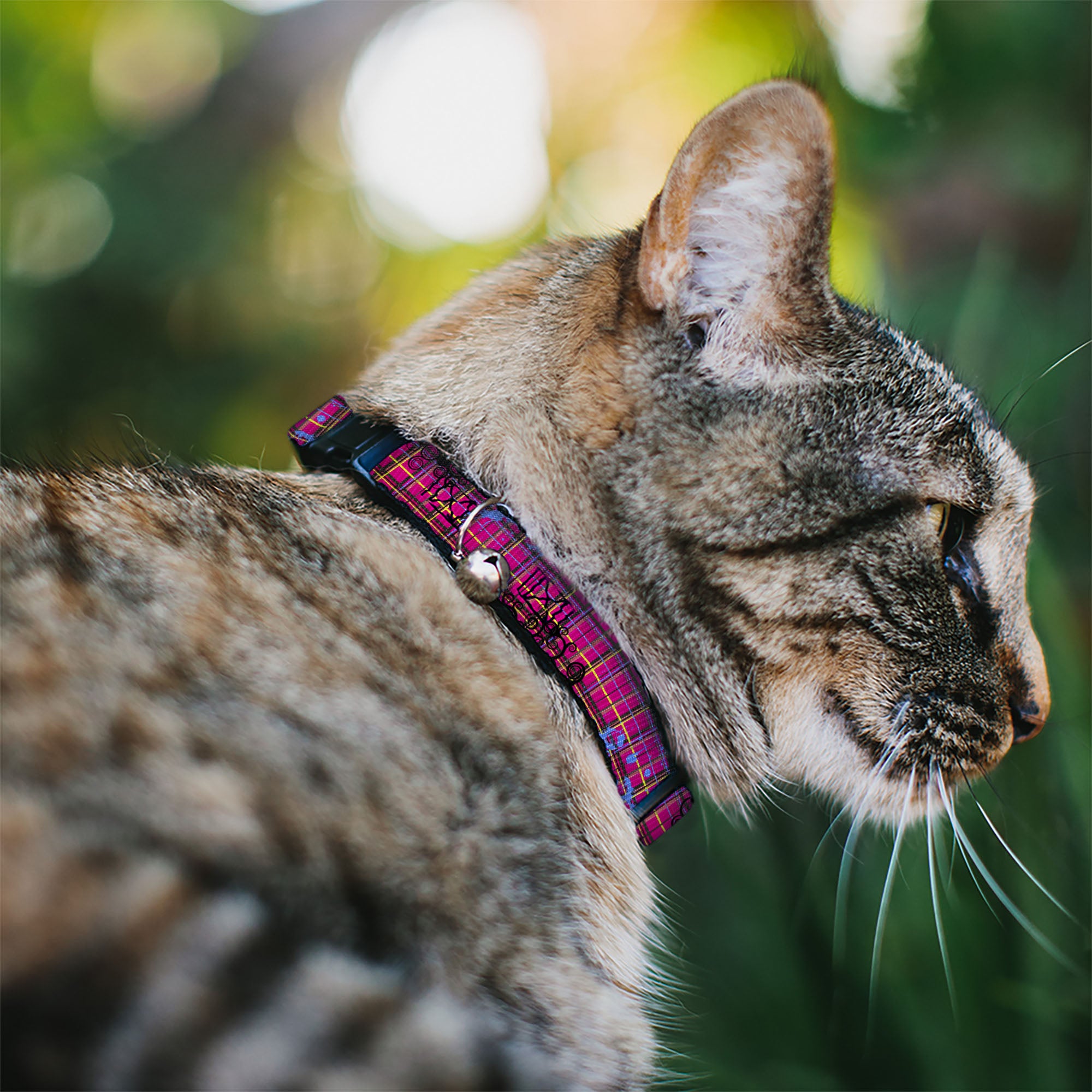 Cat Collar Breakaway - Plaid Curls Pink Black Yellow Blue Breakaway Cat Collars Buckle-Down
