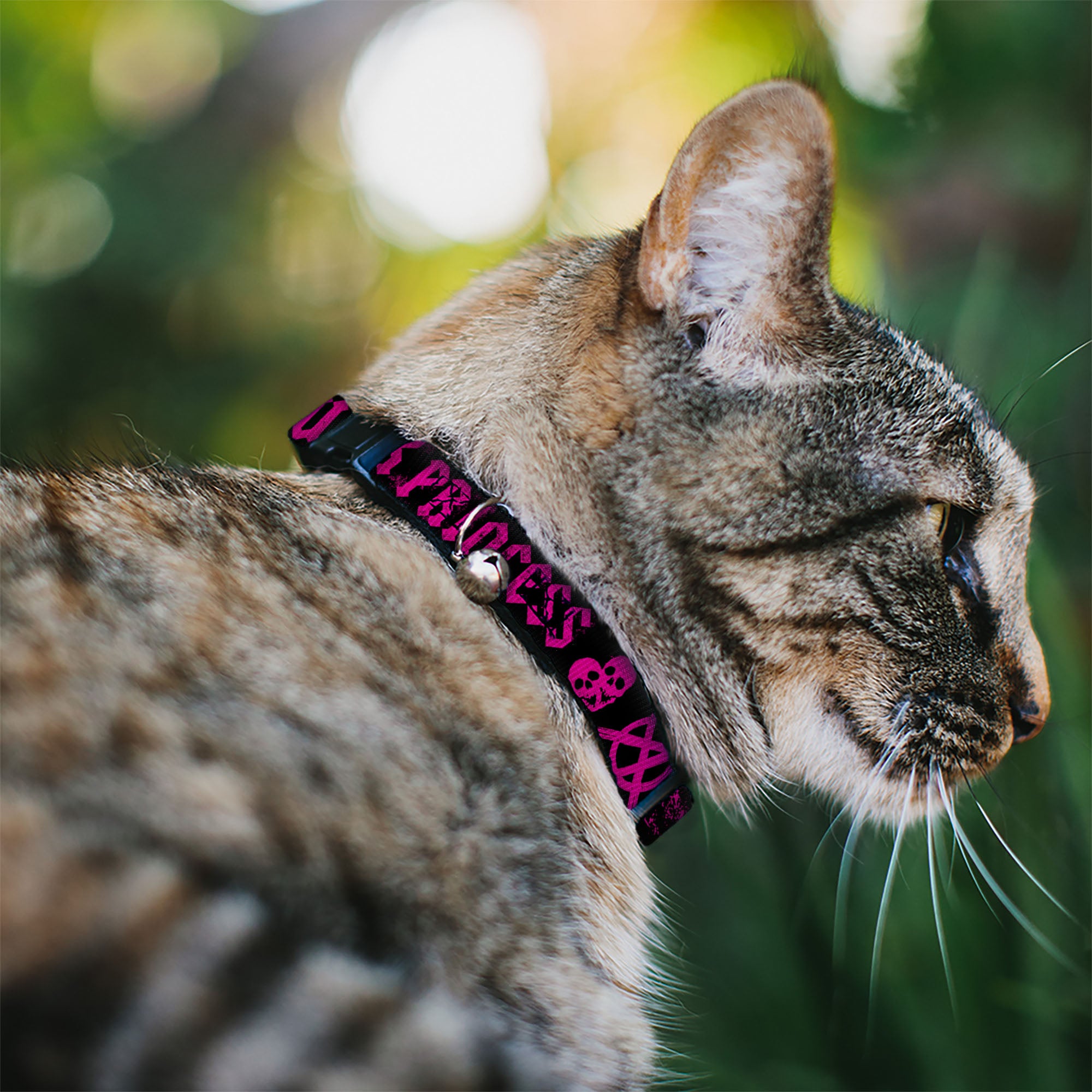 Cat Collar Breakaway - Punk Princess Black Fuchsia Breakaway Cat Collars Buckle-Down