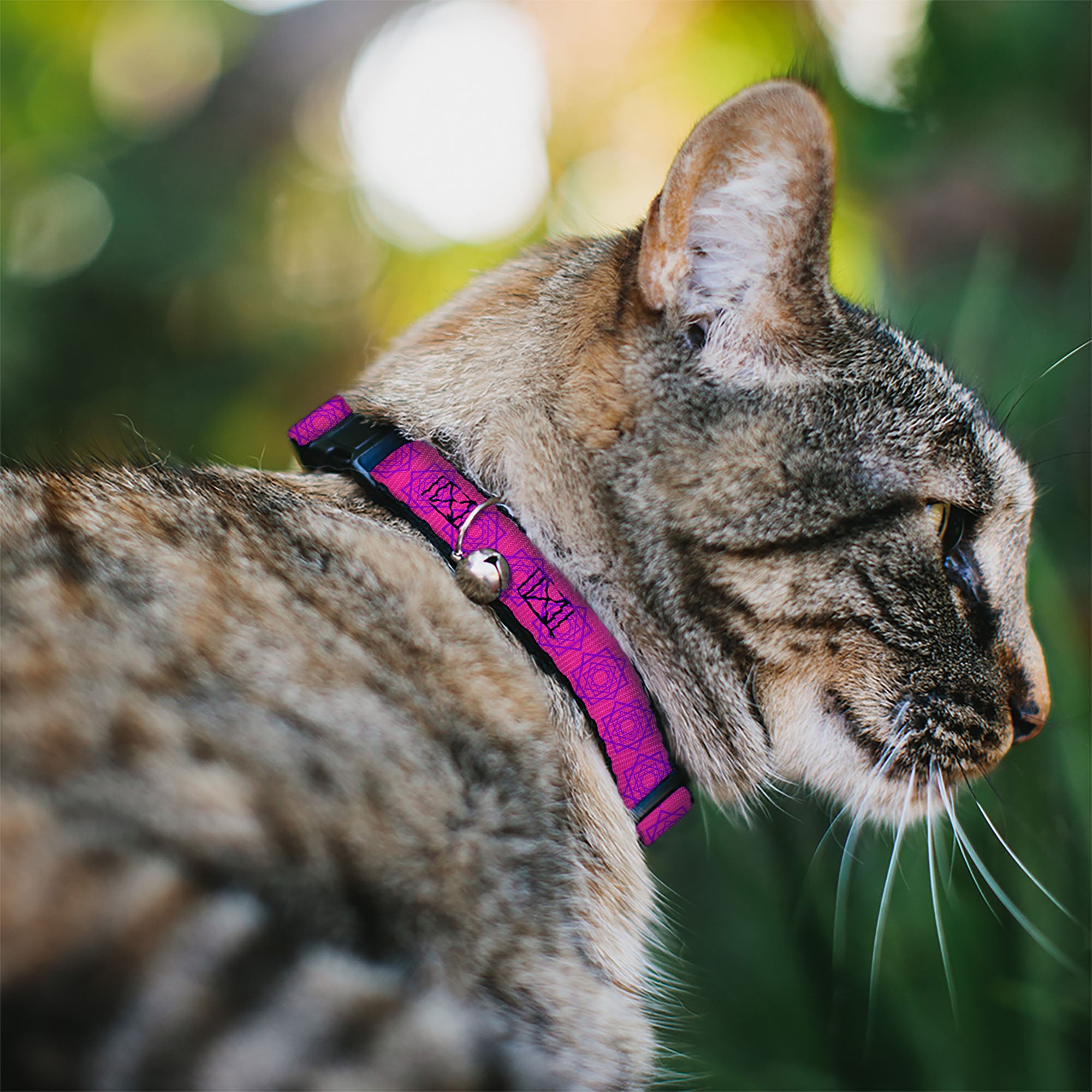Cat Collar Breakaway - Rotating Squares Pink Purple Breakaway Cat Collars Buckle-Down