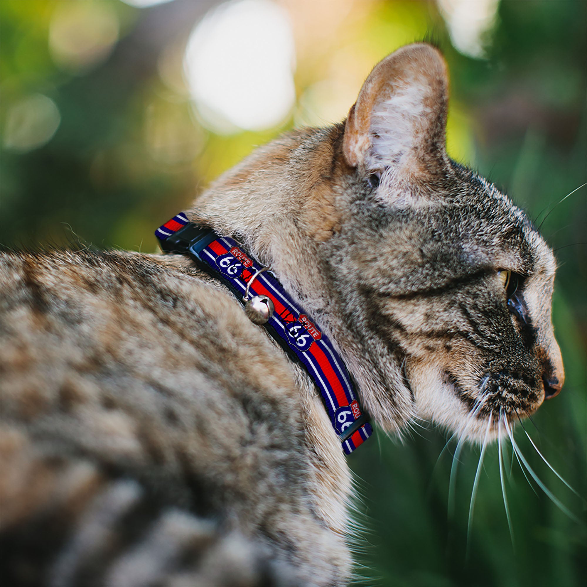 Cat Collar Breakaway - ROUTE 66 Highway Sign Stripe Blue White Red Breakaway Cat Collars Buckle-Down