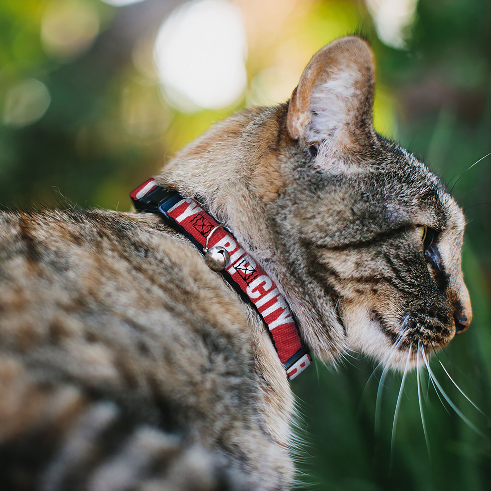 Cat Collar Breakaway - RIP CITY Red White Breakaway Cat Collars Buckle-Down