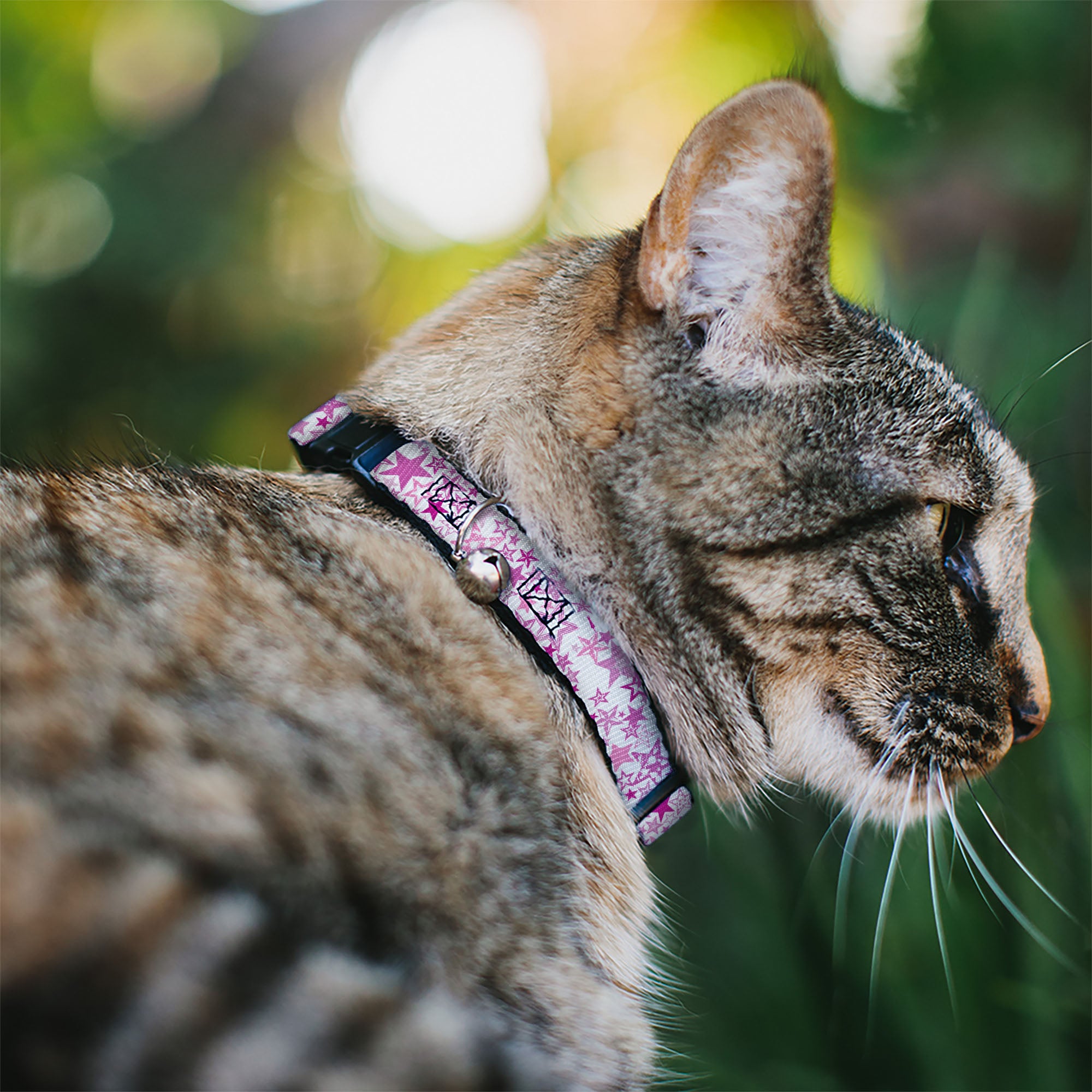 Cat Collar Breakaway - Stargazer White Pink Breakaway Cat Collars Buckle-Down